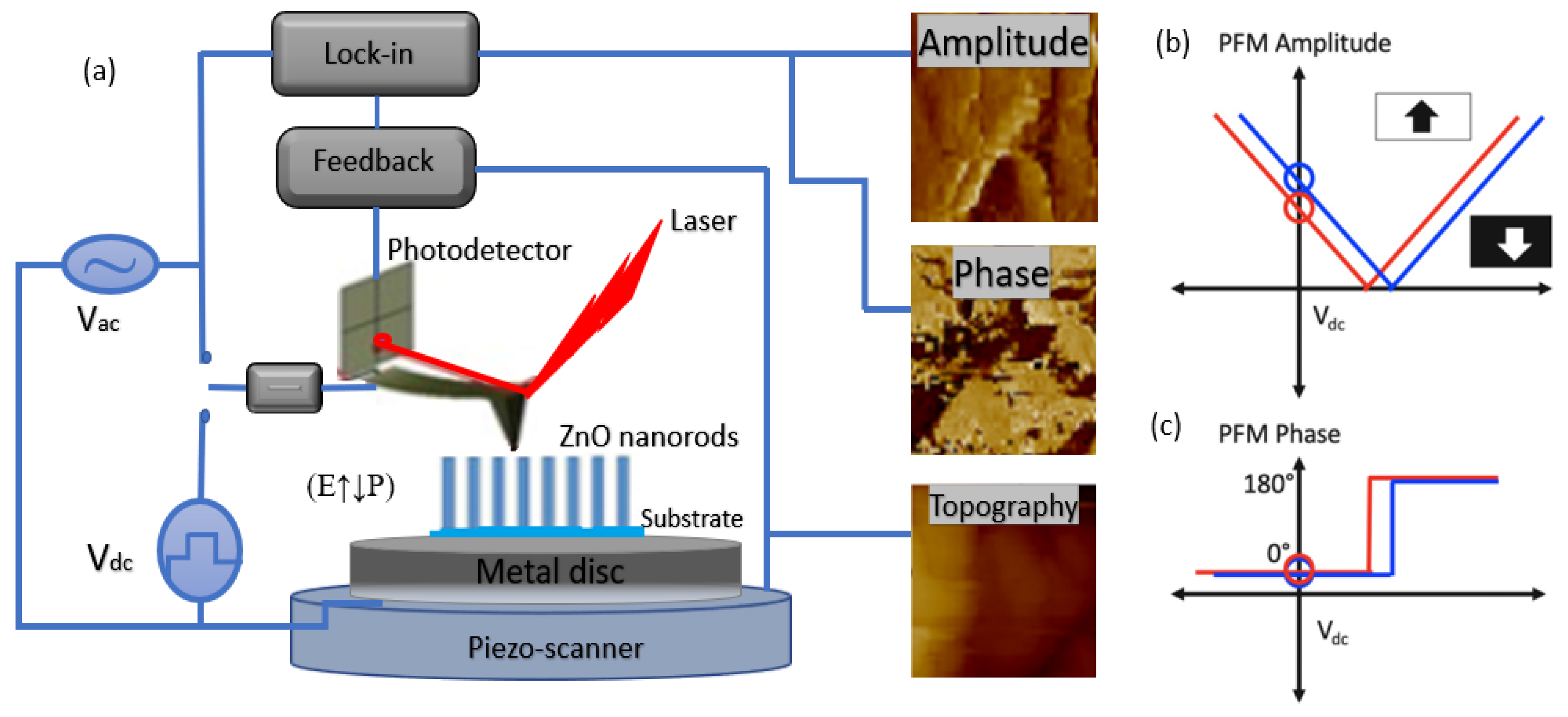 Nanomaterials 13 01025 g012 Nanomaterials 13 01025 g012