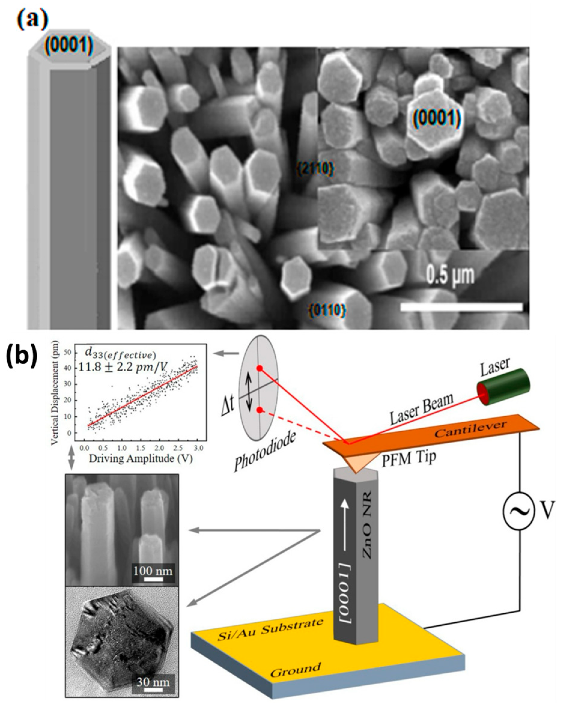 Nanomaterials 13 01025 g014 Nanomaterials 13 01025 g014