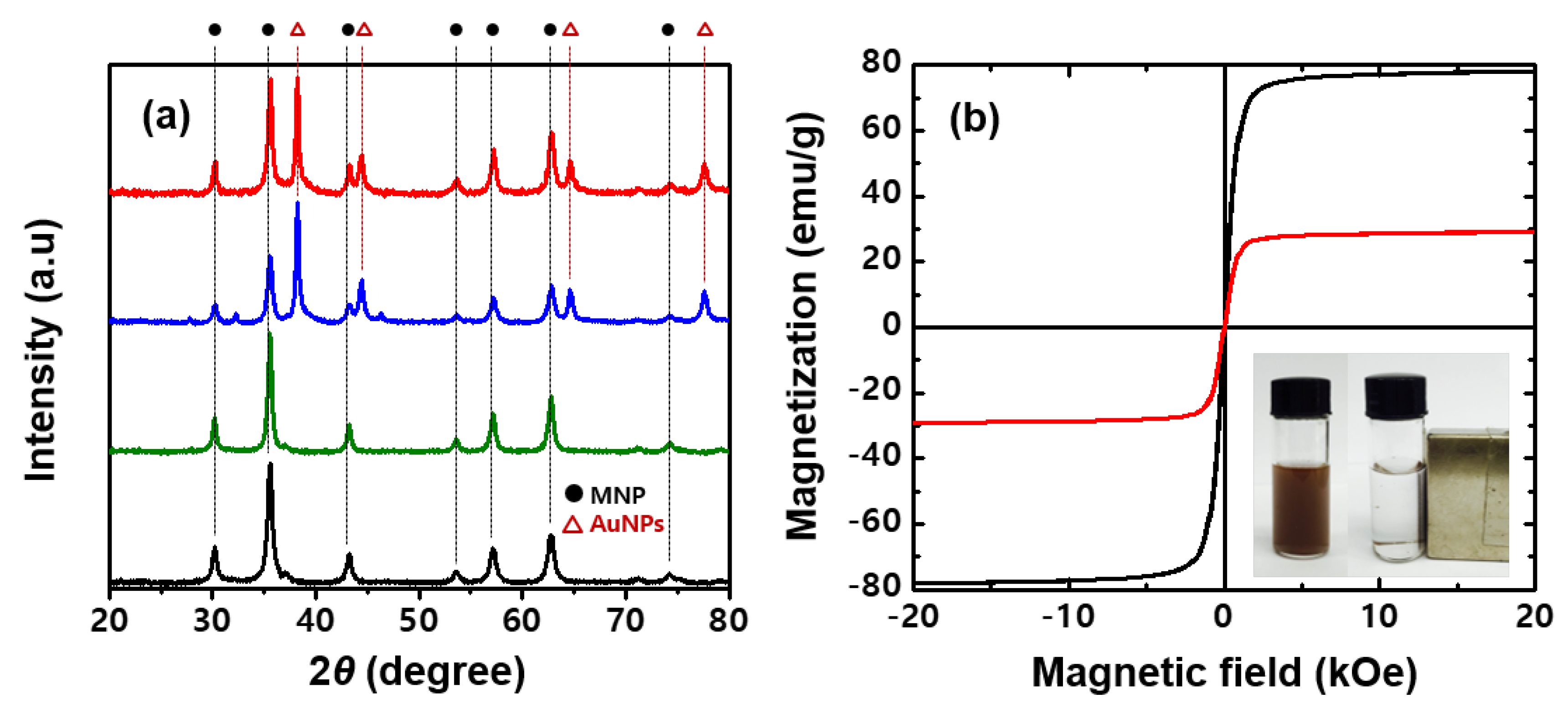 Nanomaterials 13 01037 g003