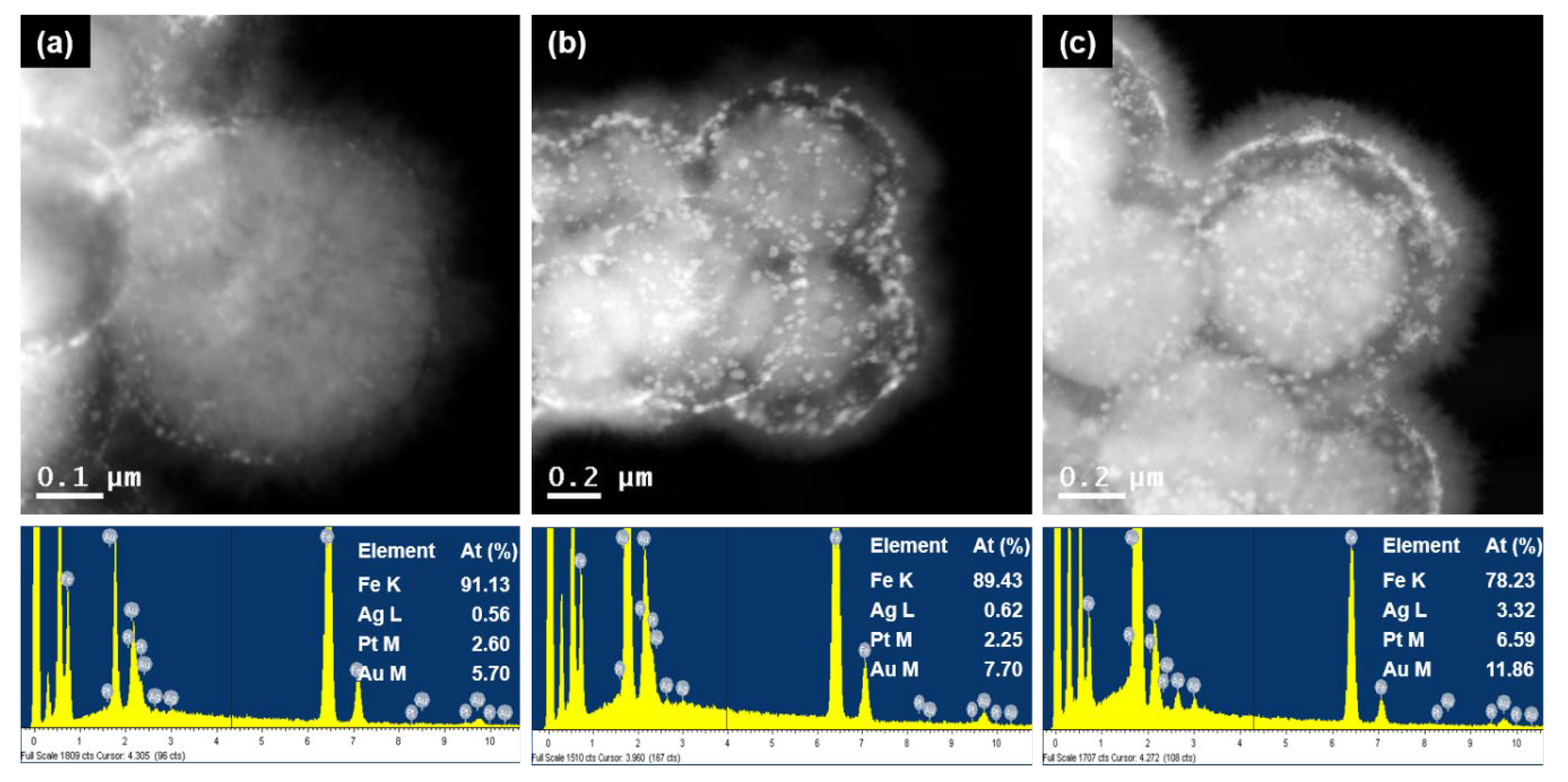 Nanomaterials 13 01037 g004