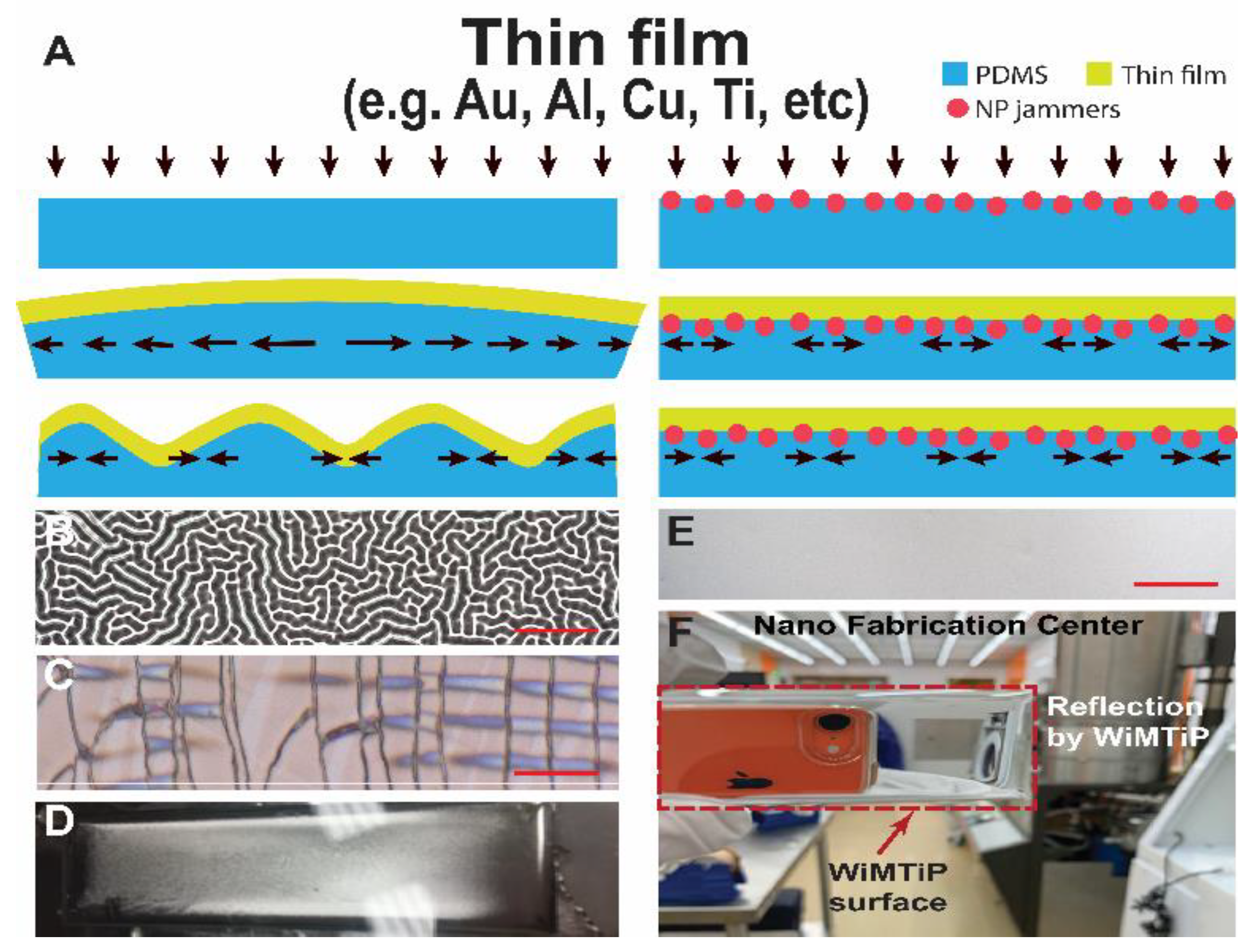 Nanomaterials 13 01044 g001