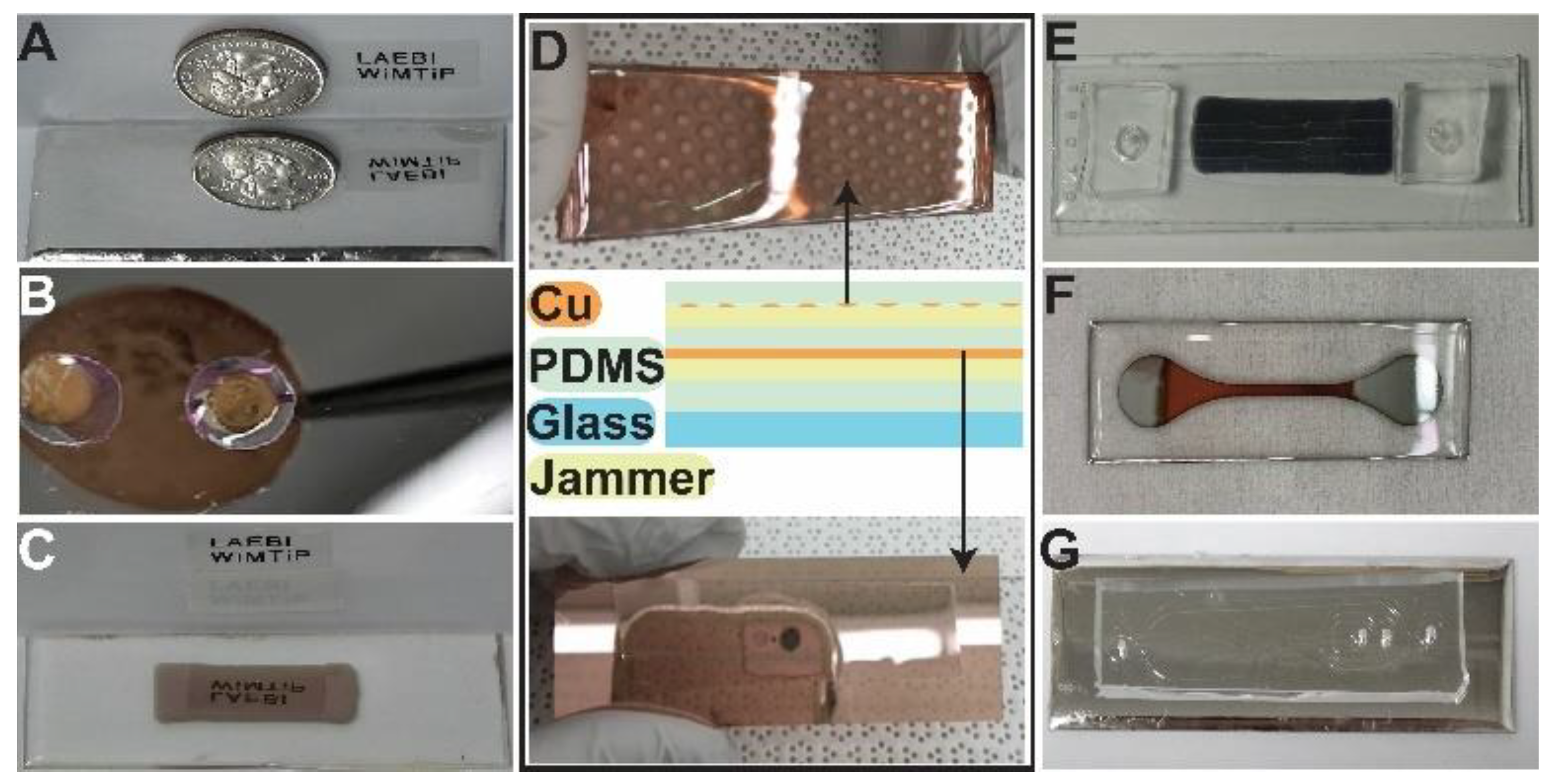 Nanomaterials 13 01044 g002