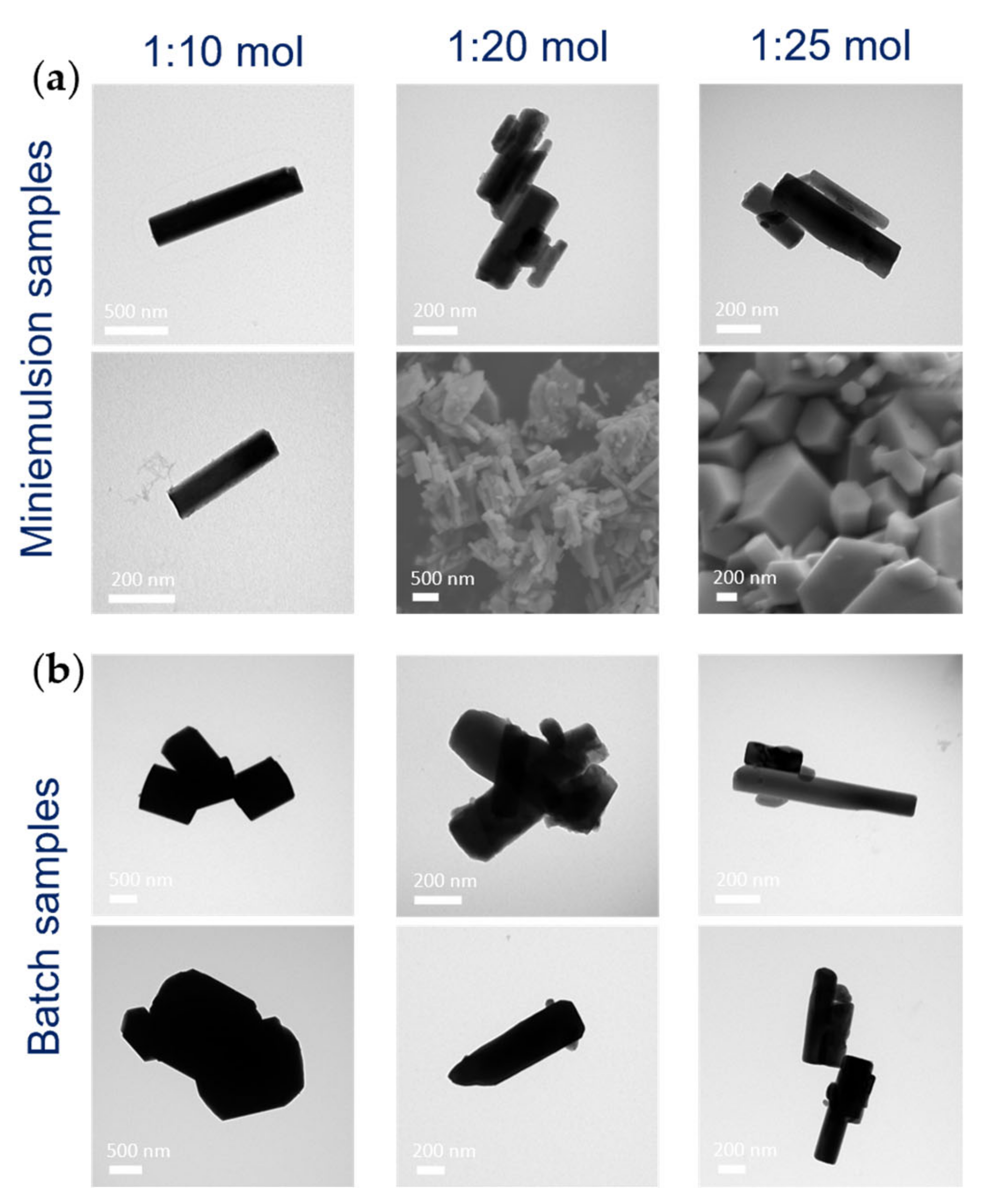 Nanomaterials 13 01046 g004
