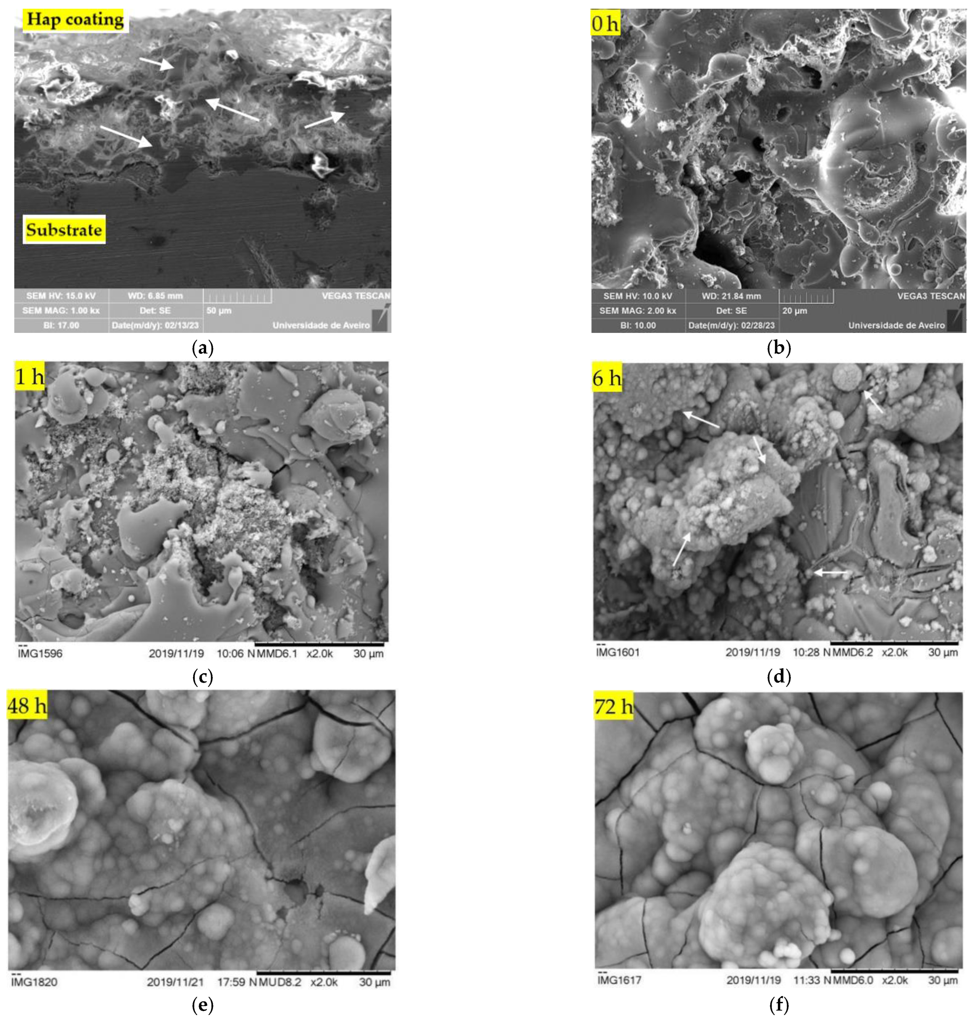 Nanomaterials 13 01058 g006 Nanomaterials 13 01058 g006