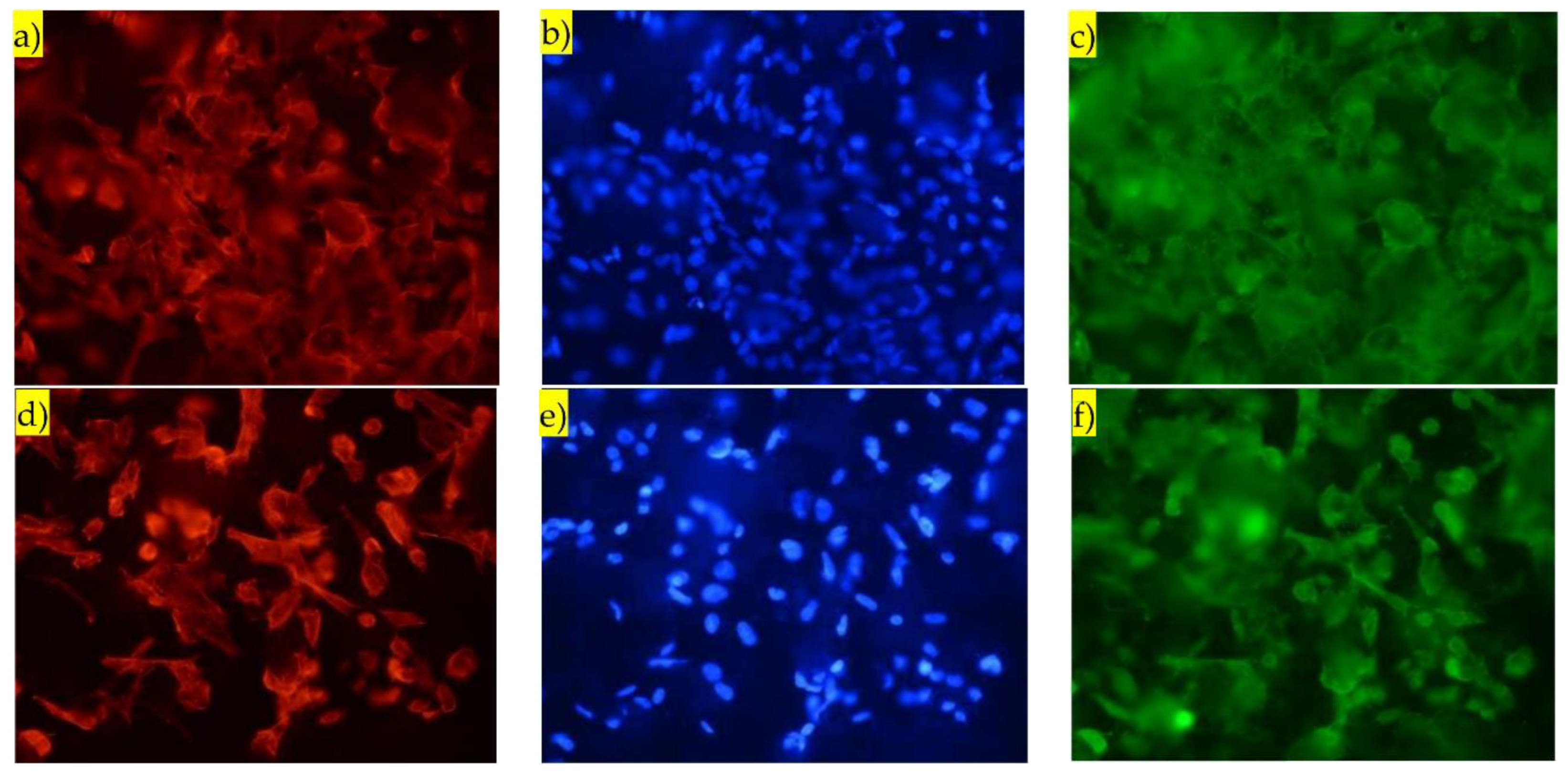 Nanomaterials 13 01058 g008 Nanomaterials 13 01058 g008