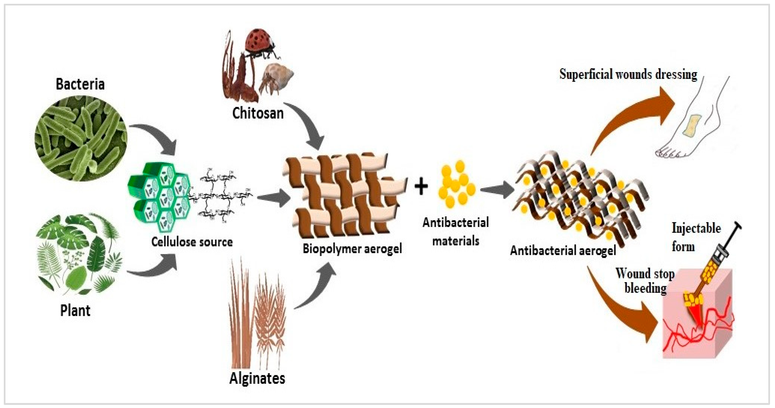 Nanomaterials 13 01063 g005