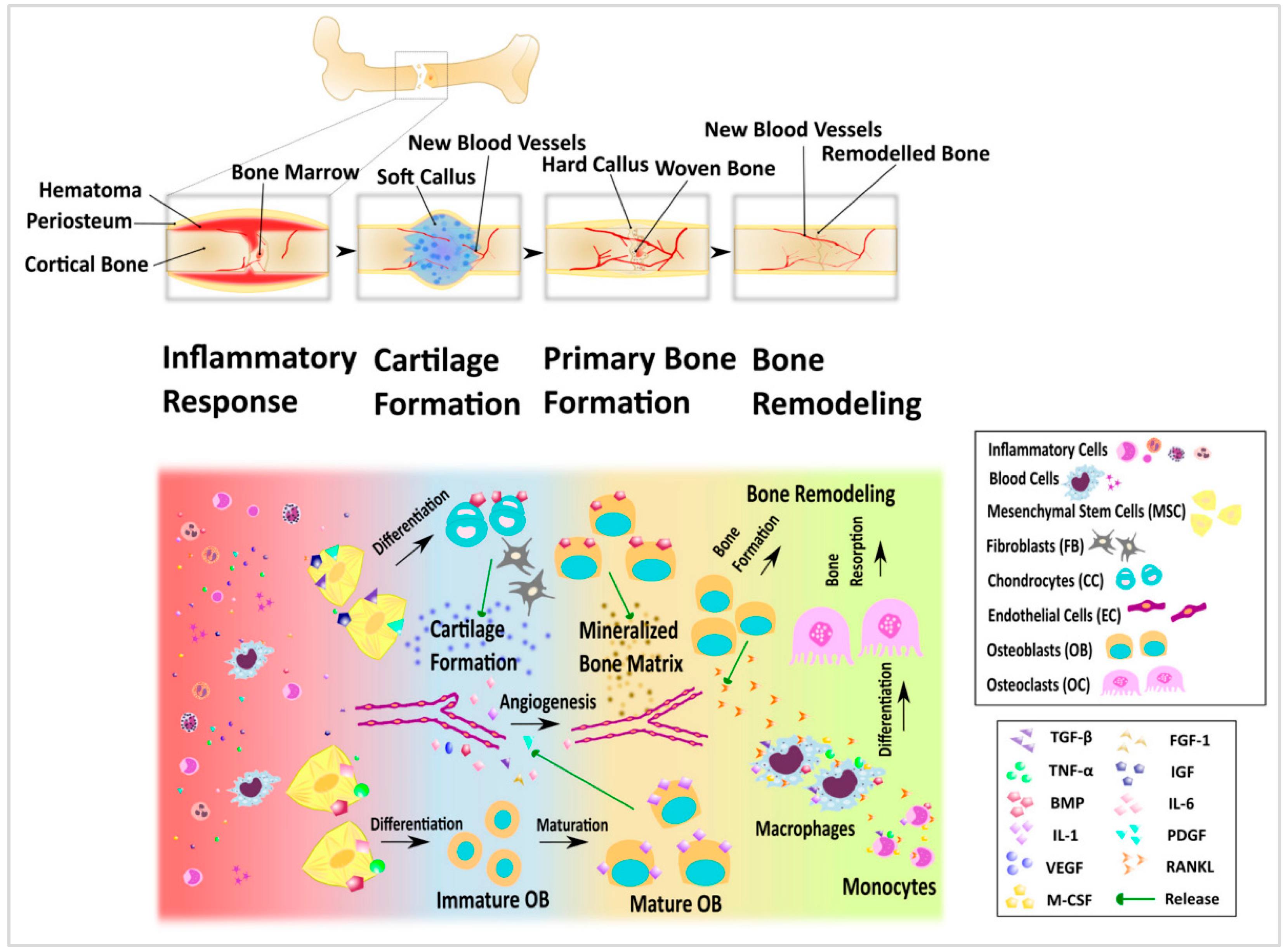 Nanomaterials 13 01063 g007