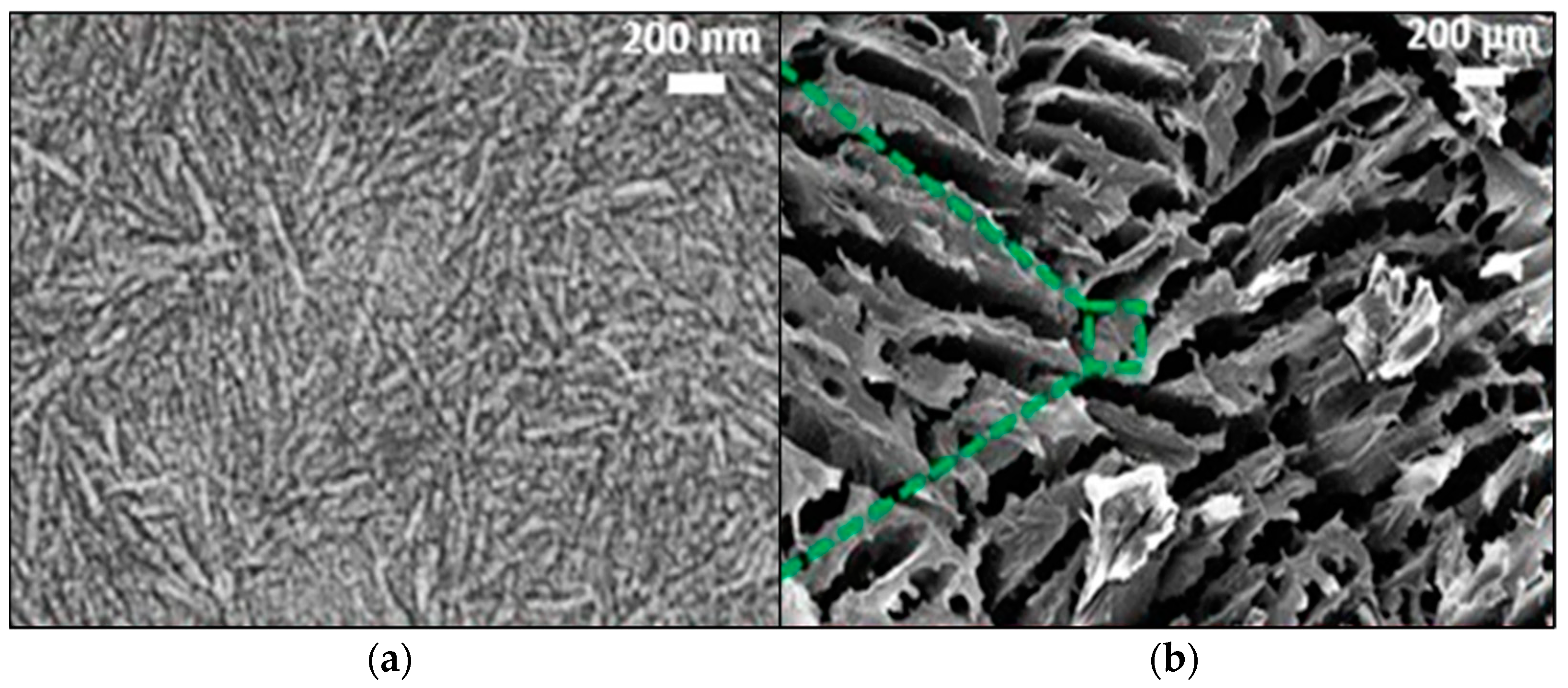 Nanomaterials 13 01063 g008