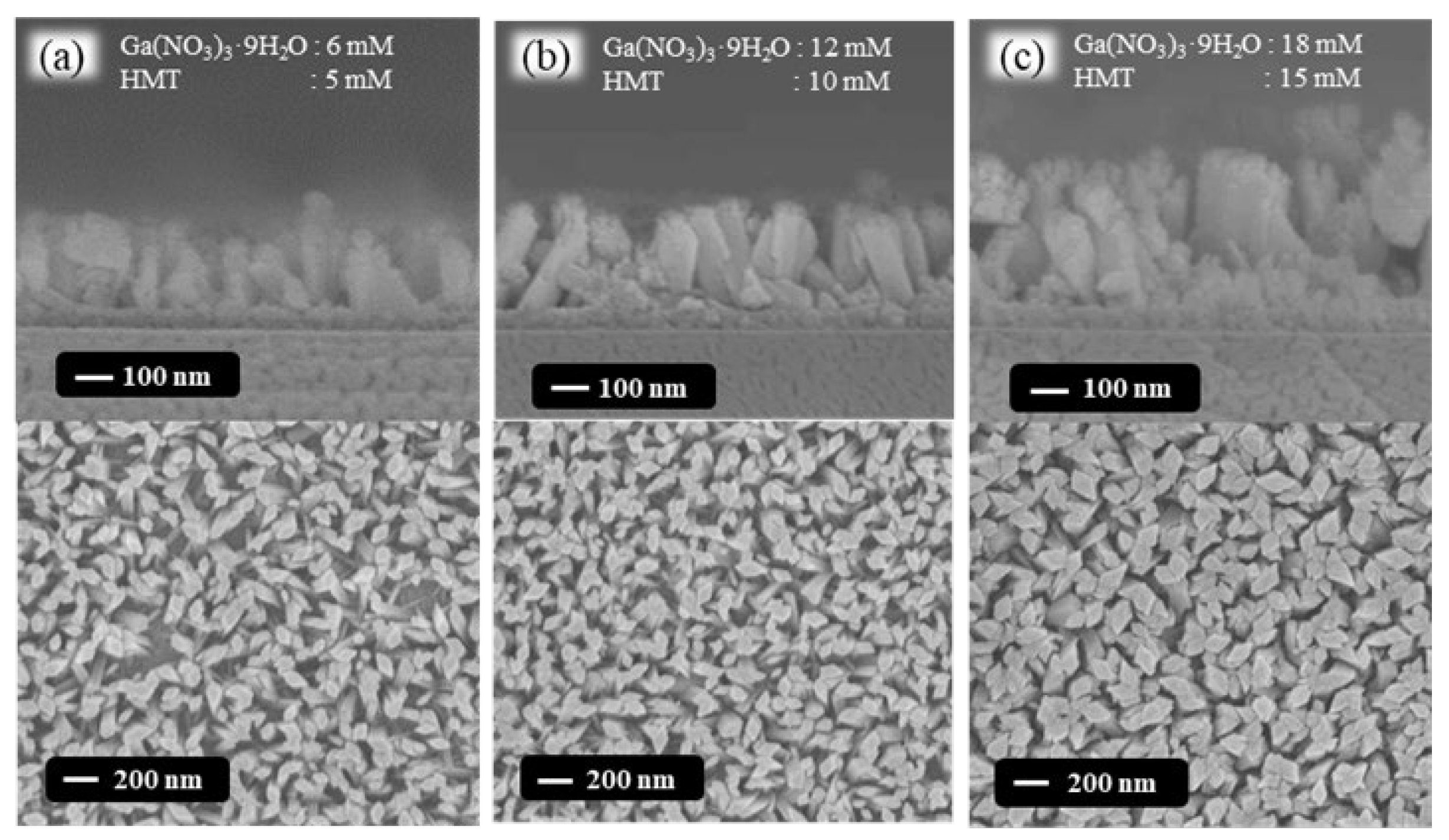 Nanomaterials 13 01064 g005
