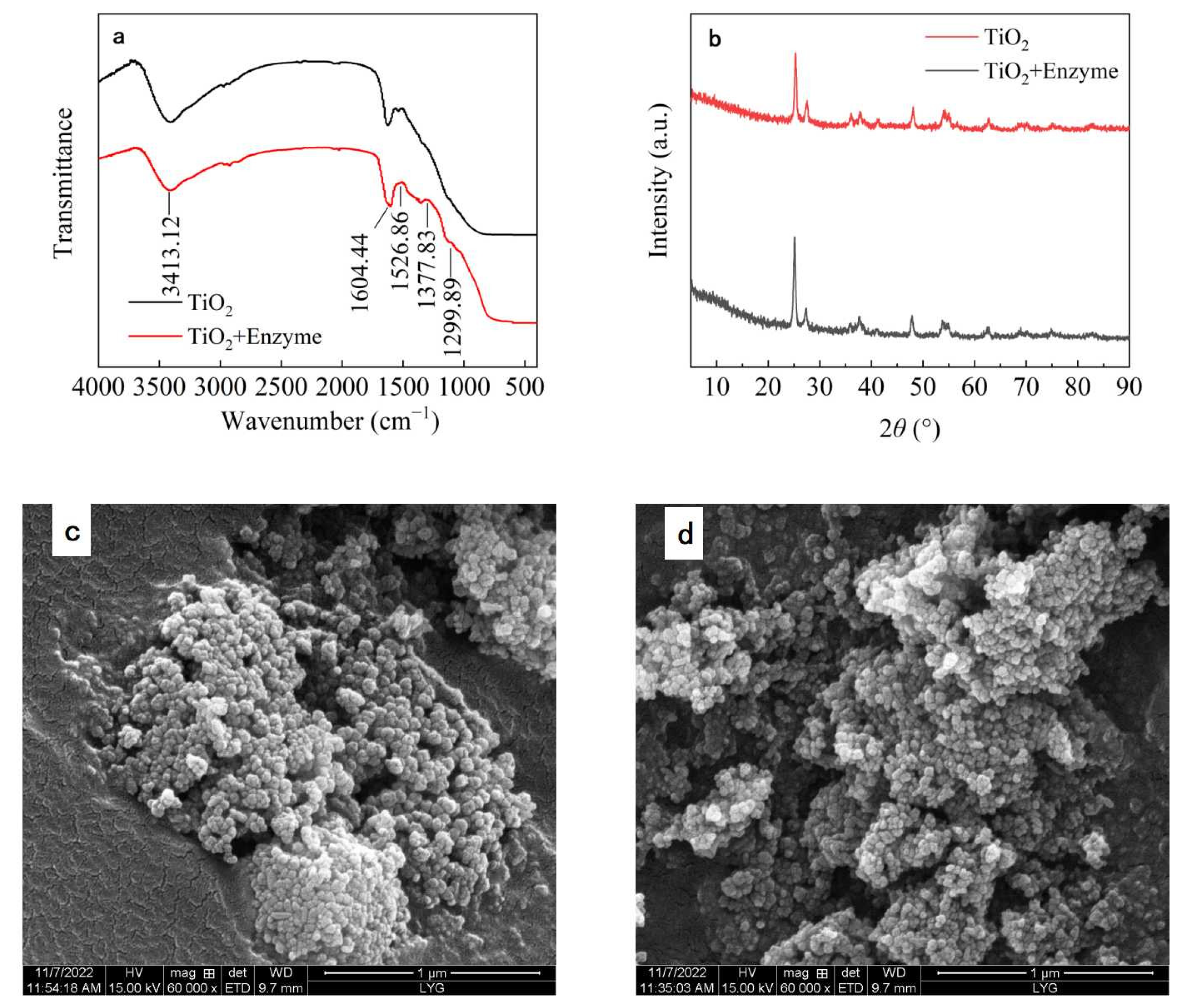 Nanomaterials 13 01065 g005