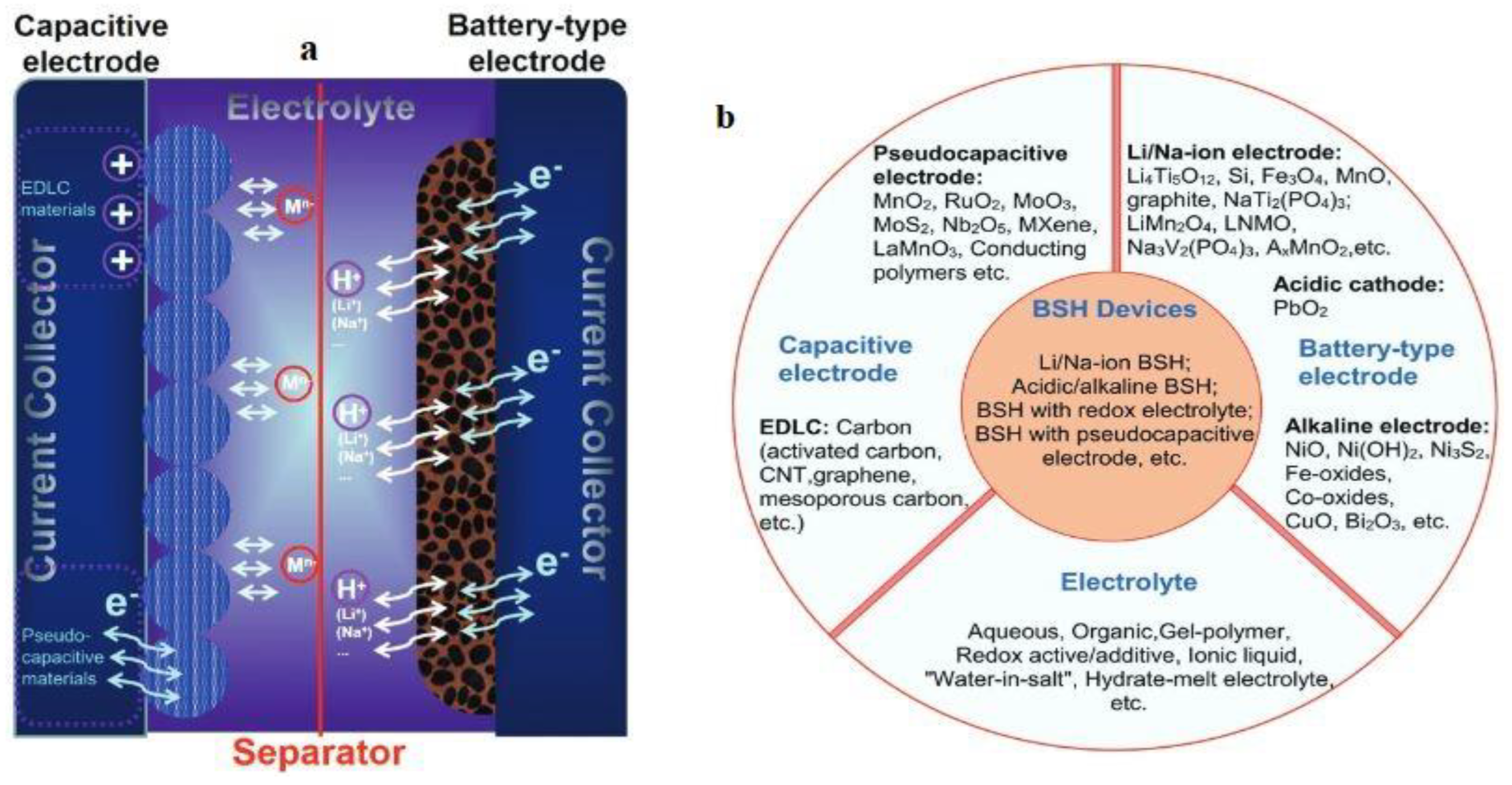Nanomaterials 13 01066 g010