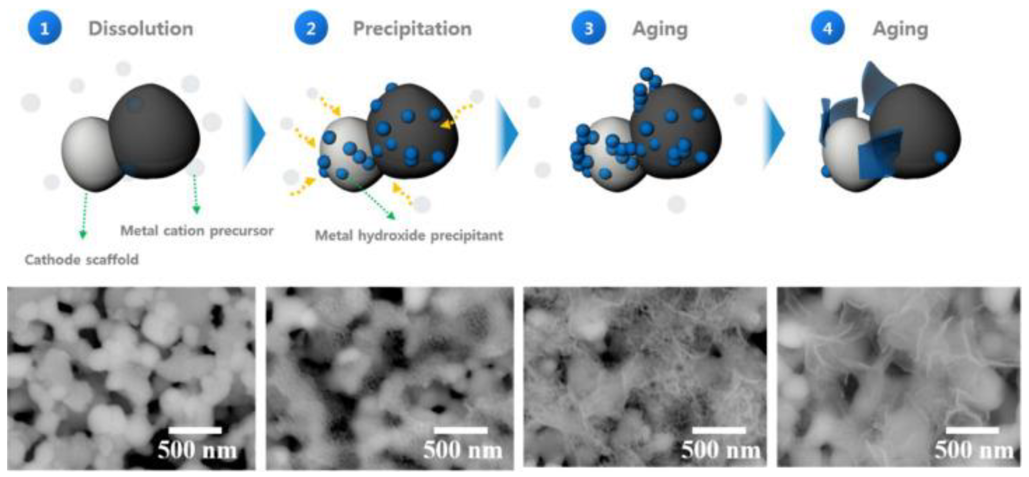 Nanomaterials 13 01066 g012