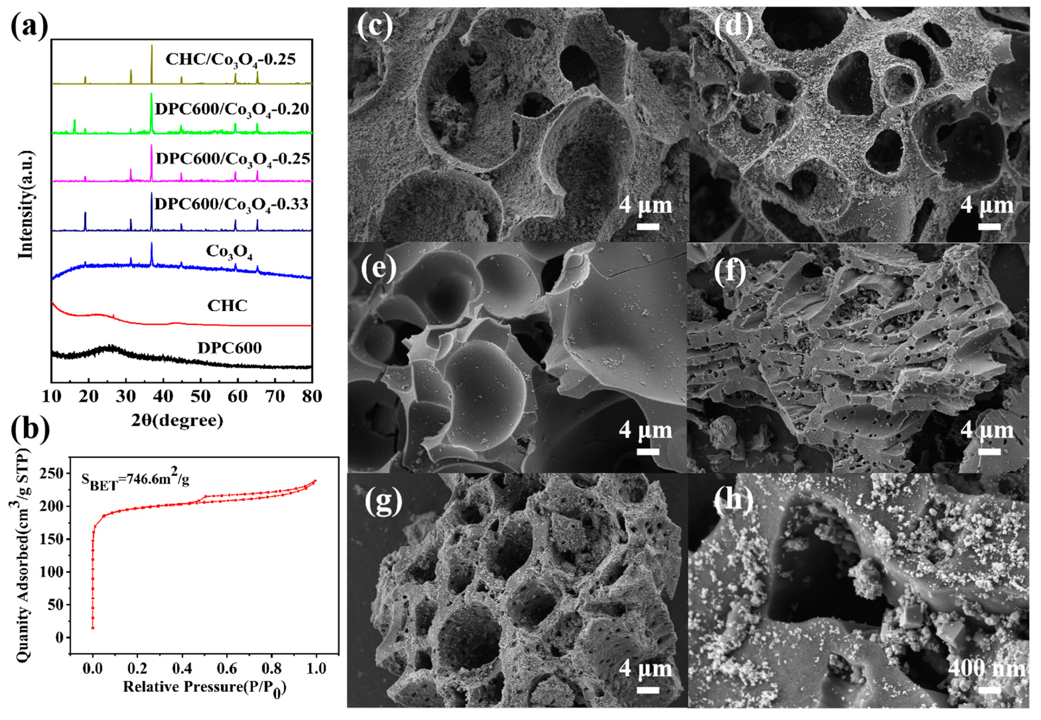 Nanomaterials 13 01073 g002