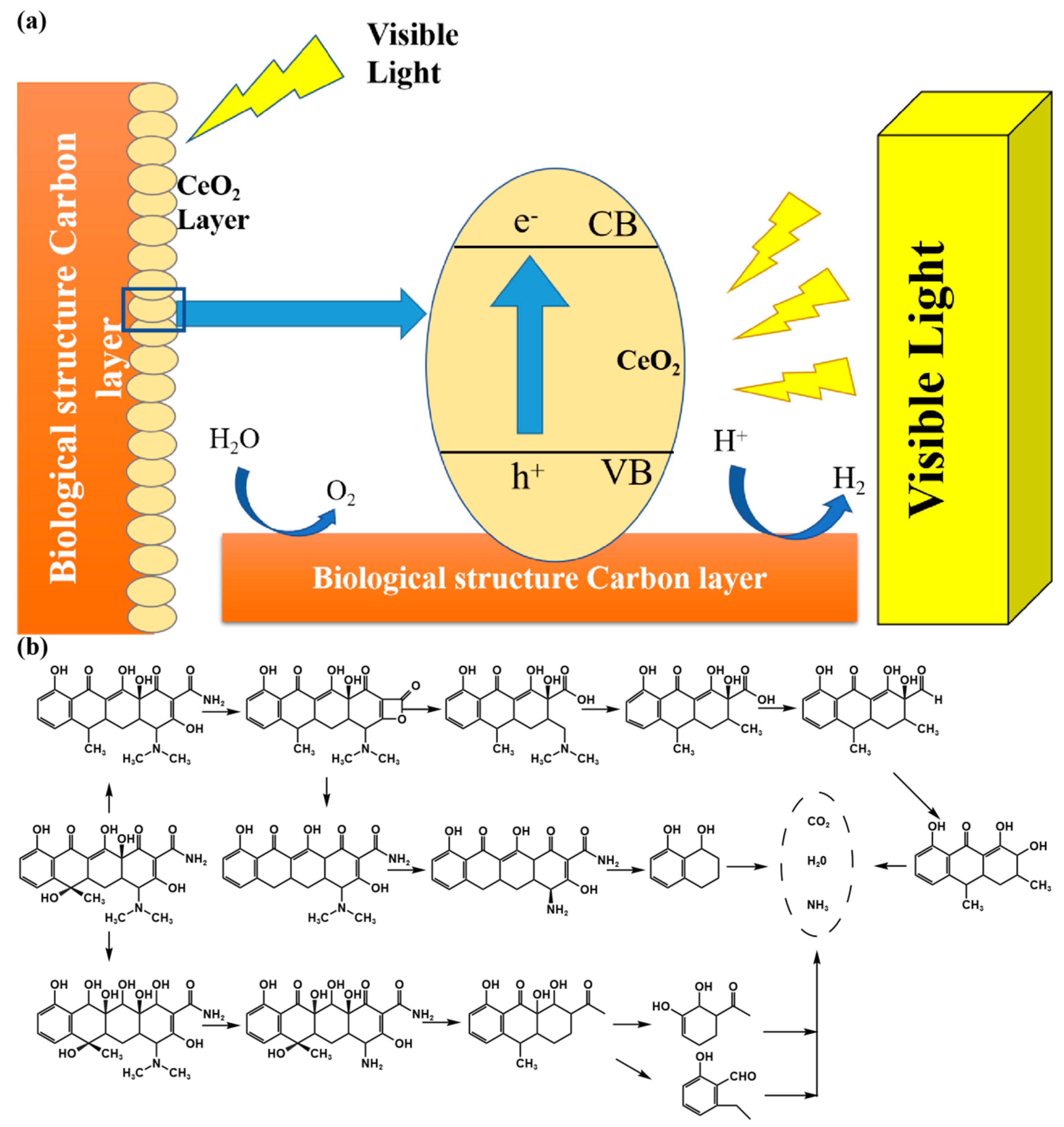 Nanomaterials 13 01076 g009