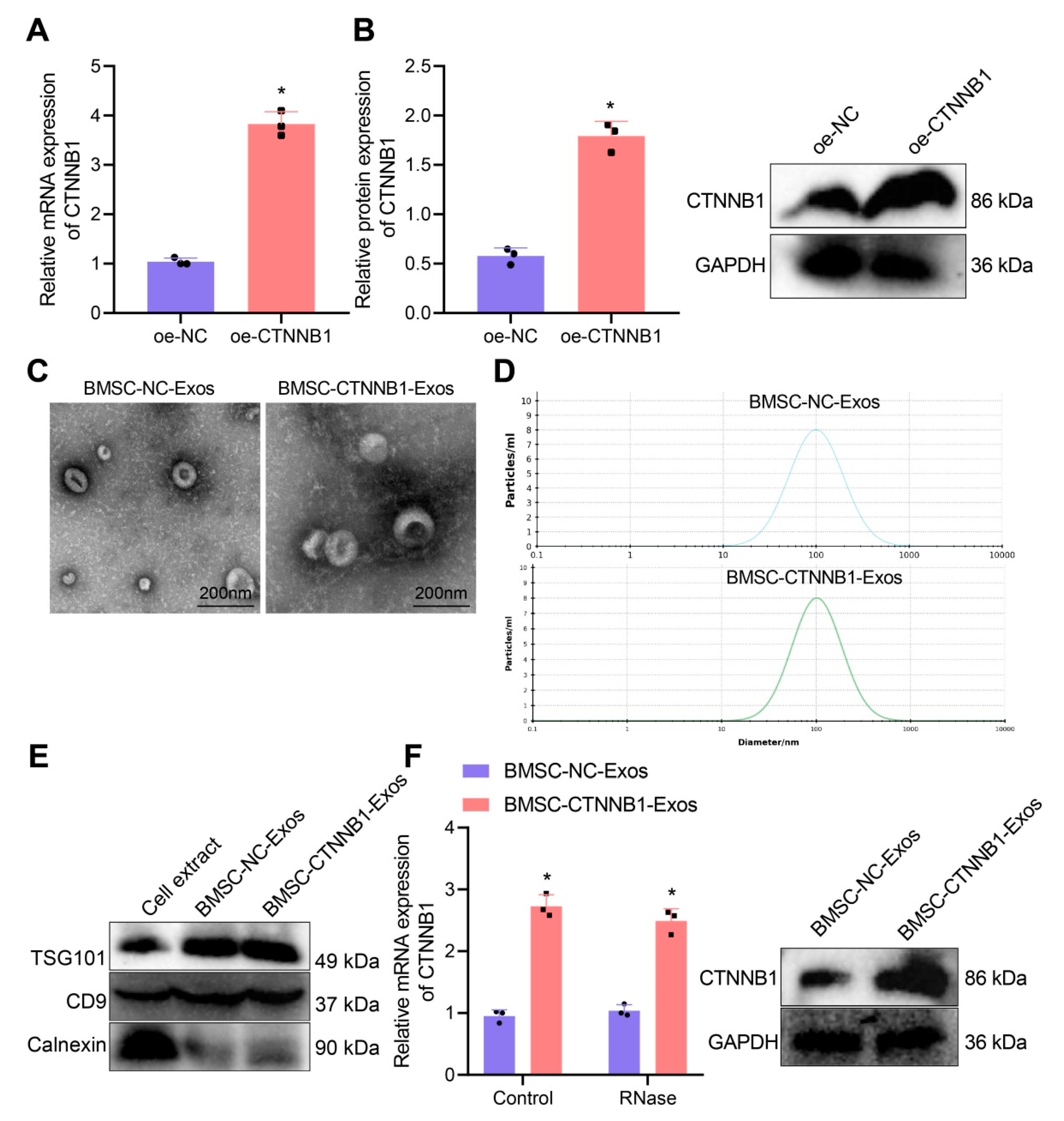 Nanomaterials 13 01083 g003