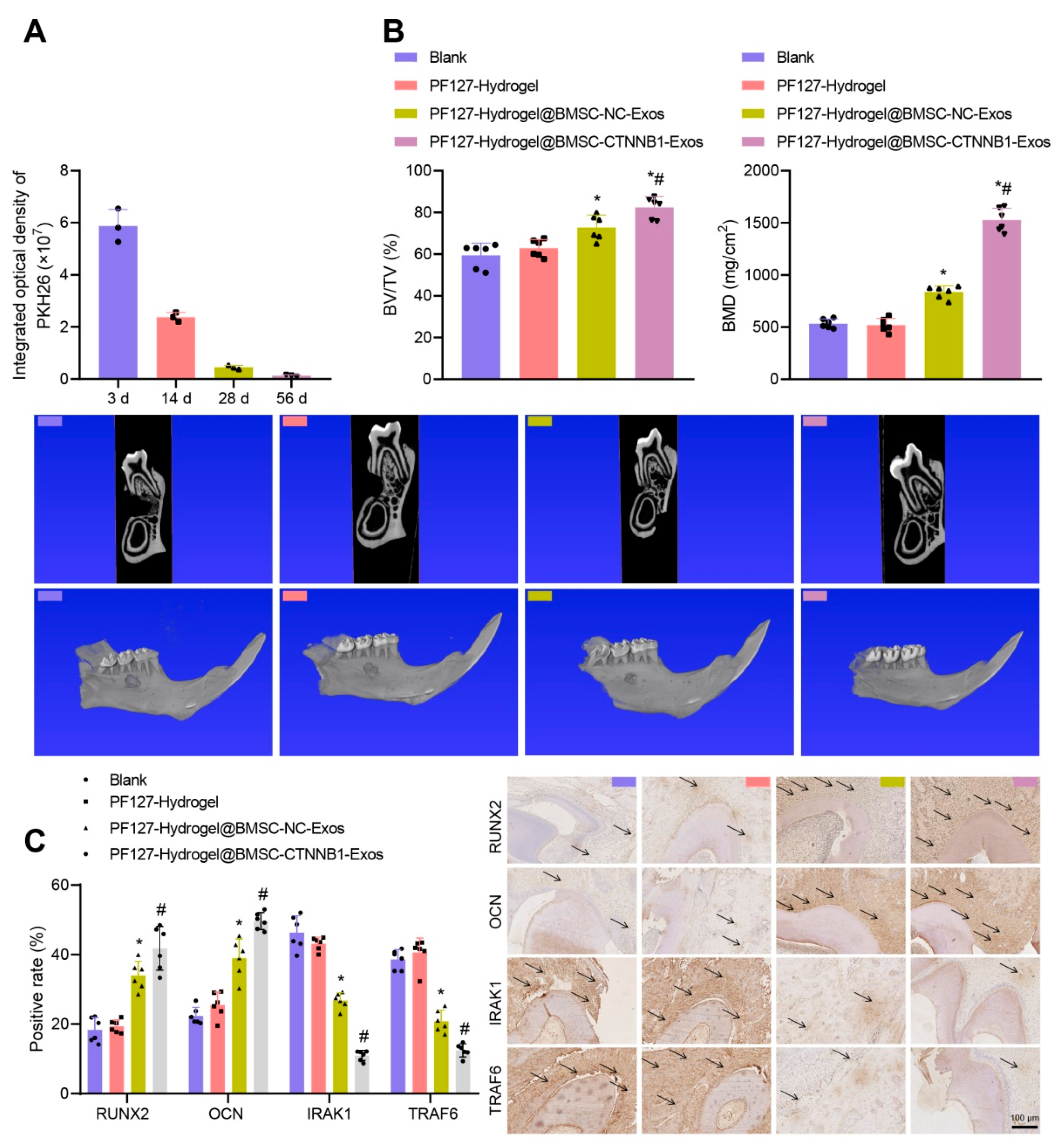 Nanomaterials 13 01083 g008