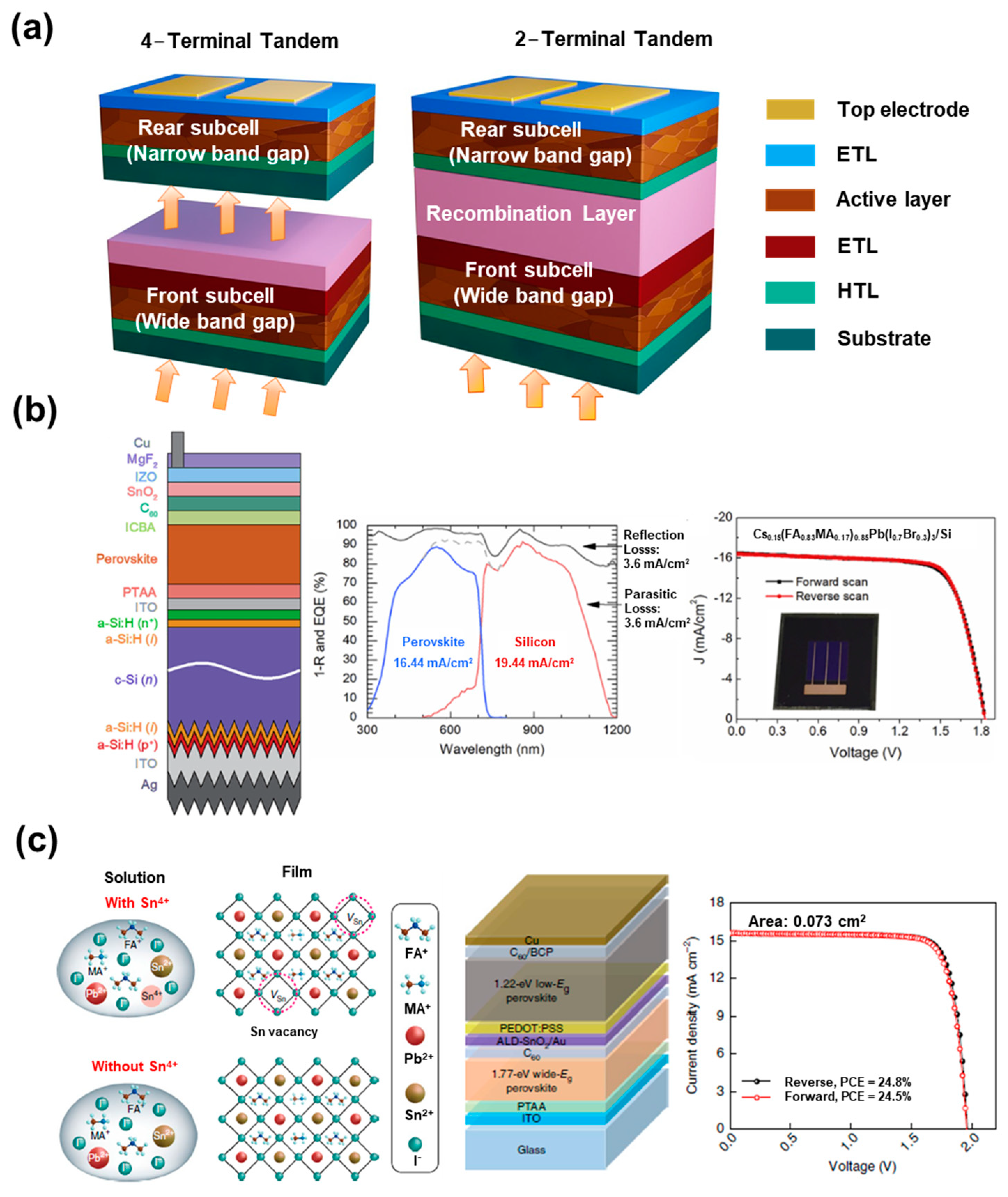 Nanomaterials 13 01084 g007 Nanomaterials 13 01084 g007