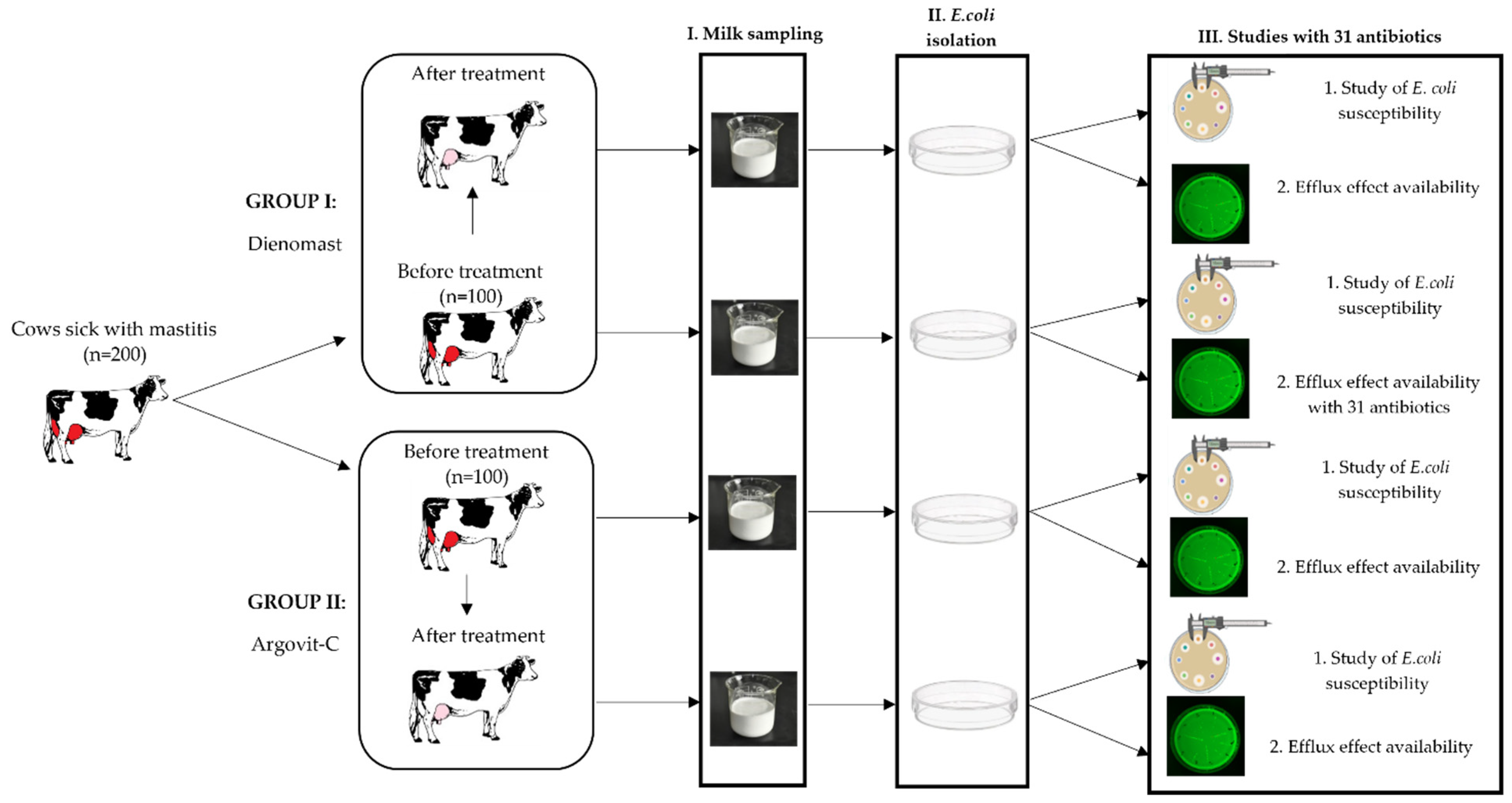 Nanomaterials 13 01088 g001