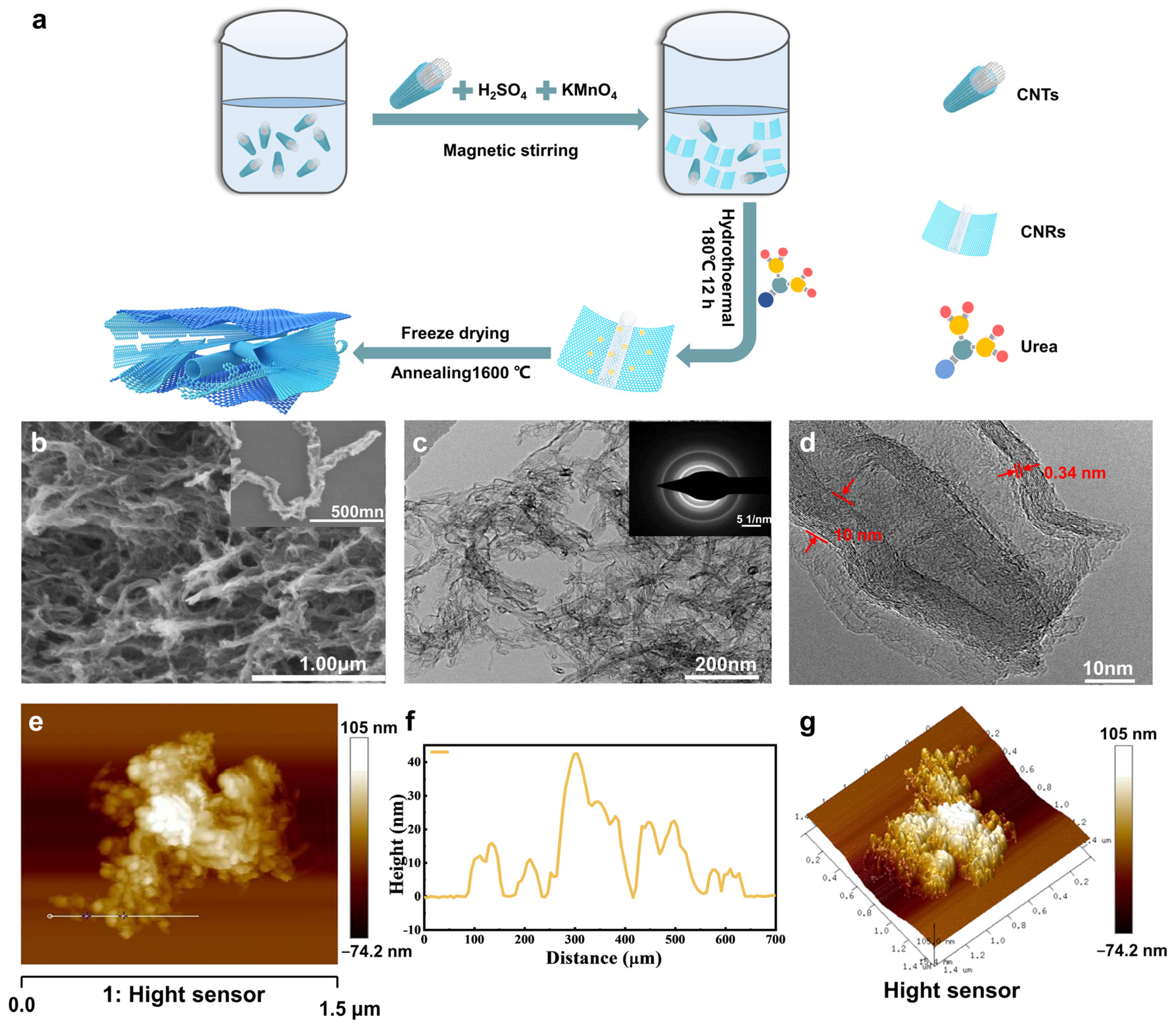 Nanomaterials 13 01089 g001