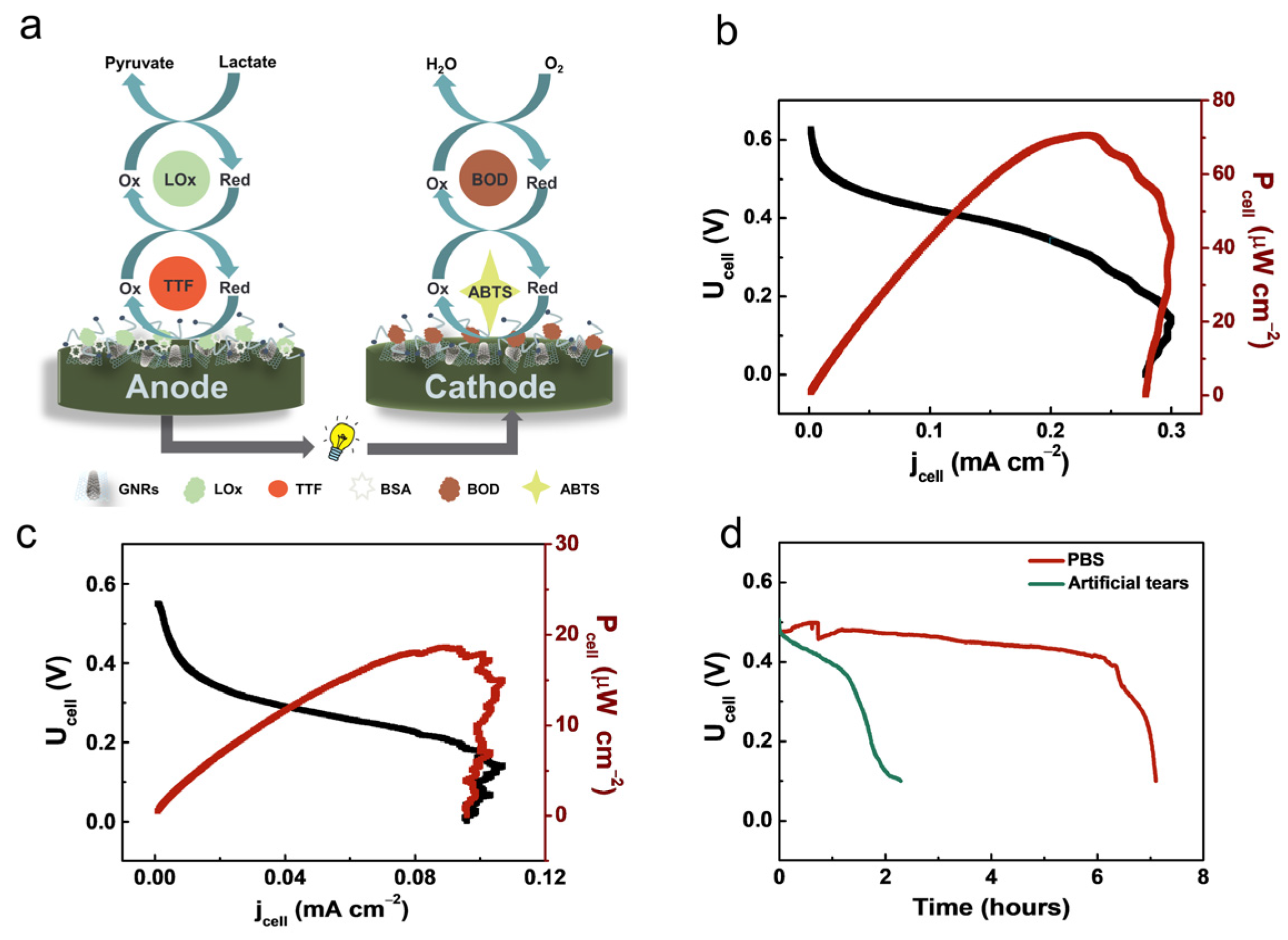 Nanomaterials 13 01089 g004