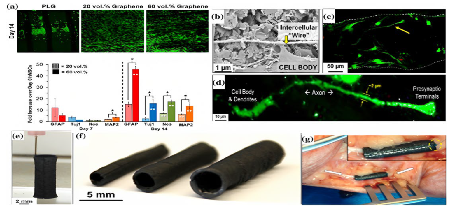 Nanomaterials 13 01092 g003 Nanomaterials 13 01092 g003