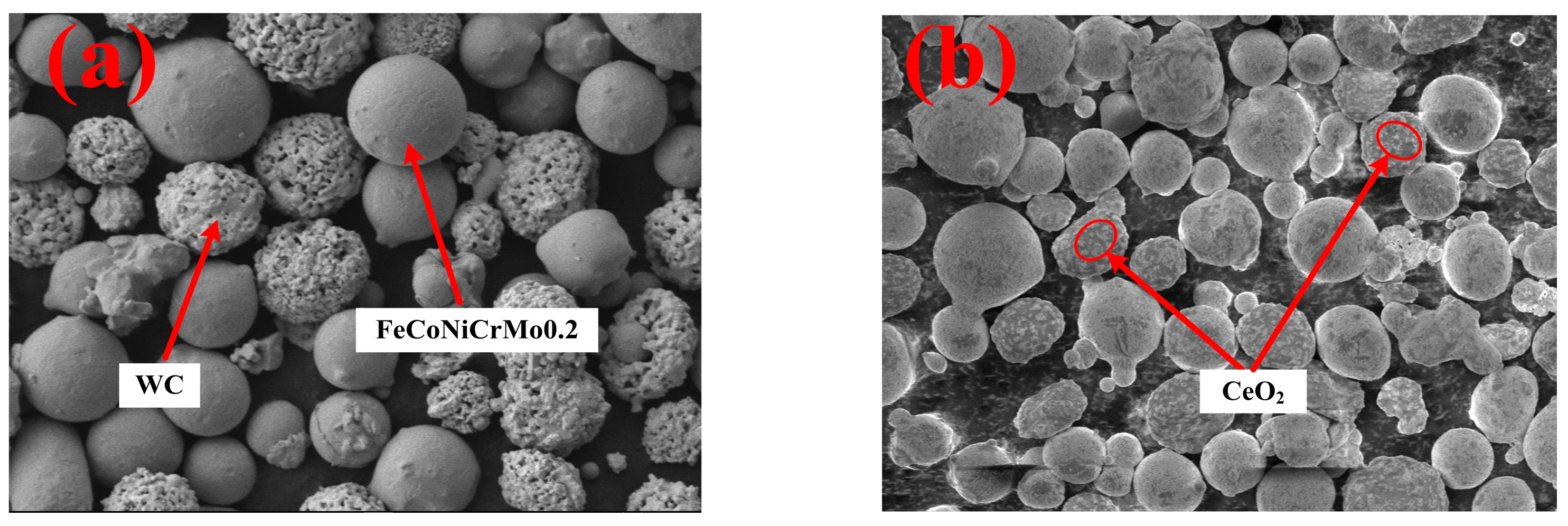 Nanomaterials 13 01104 g002