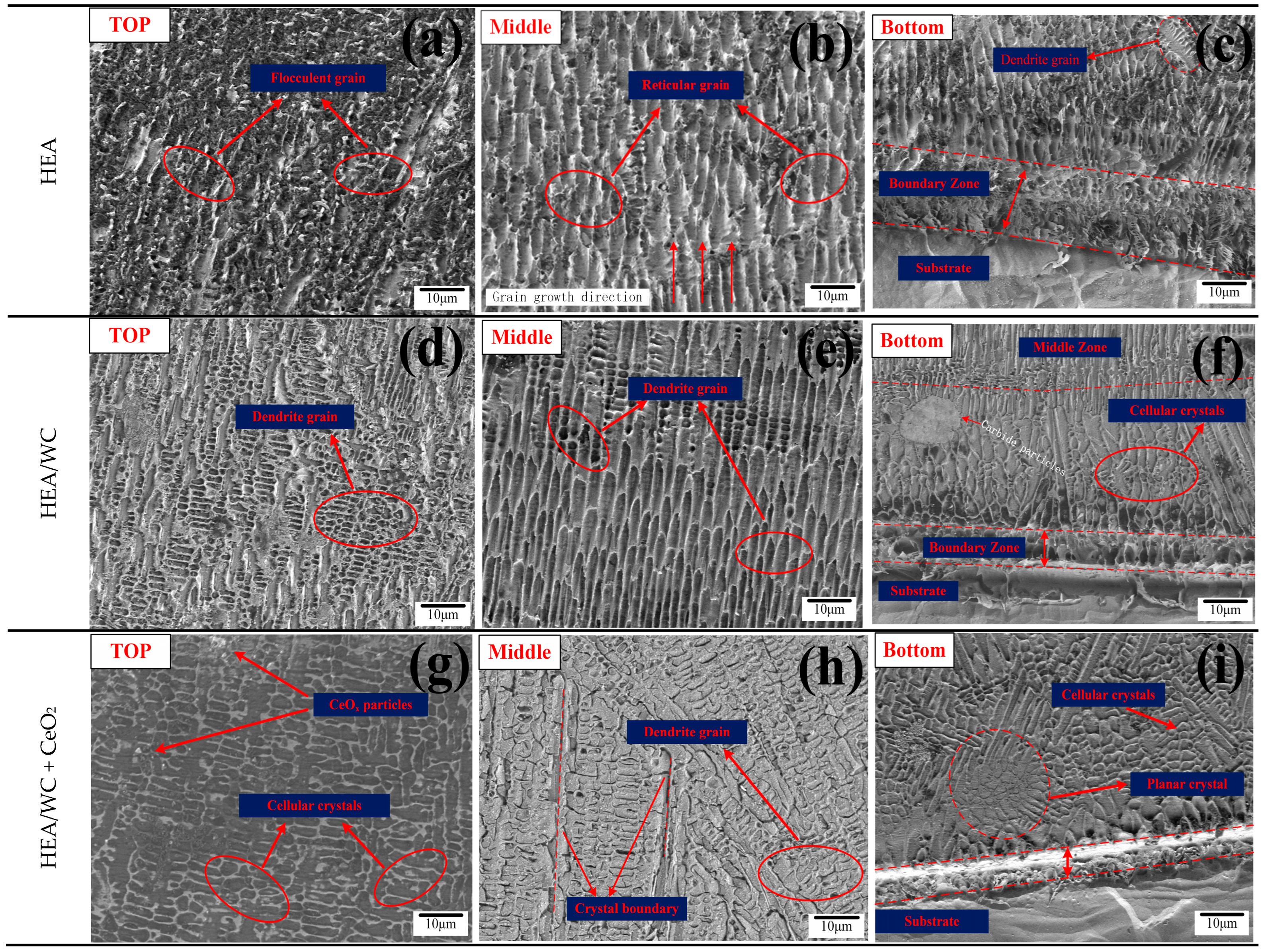 Nanomaterials 13 01104 g005