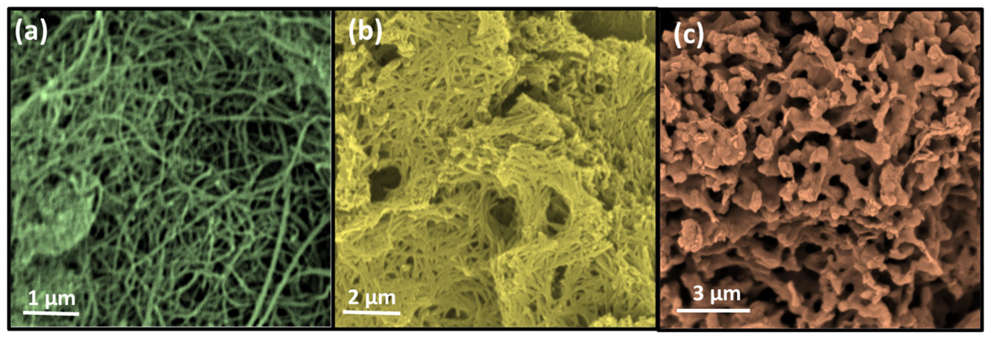 Nanomaterials 13 01106 g005