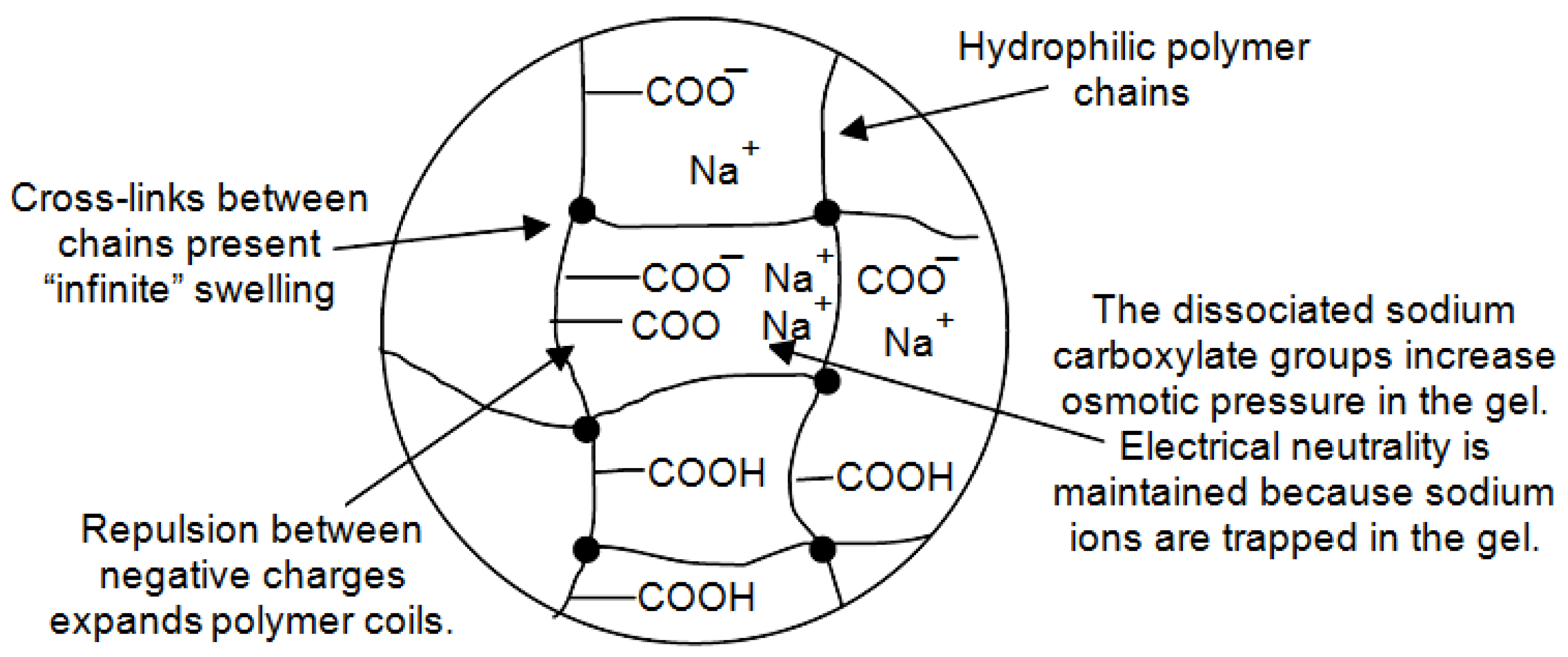 Nanomaterials 13 01110 g009