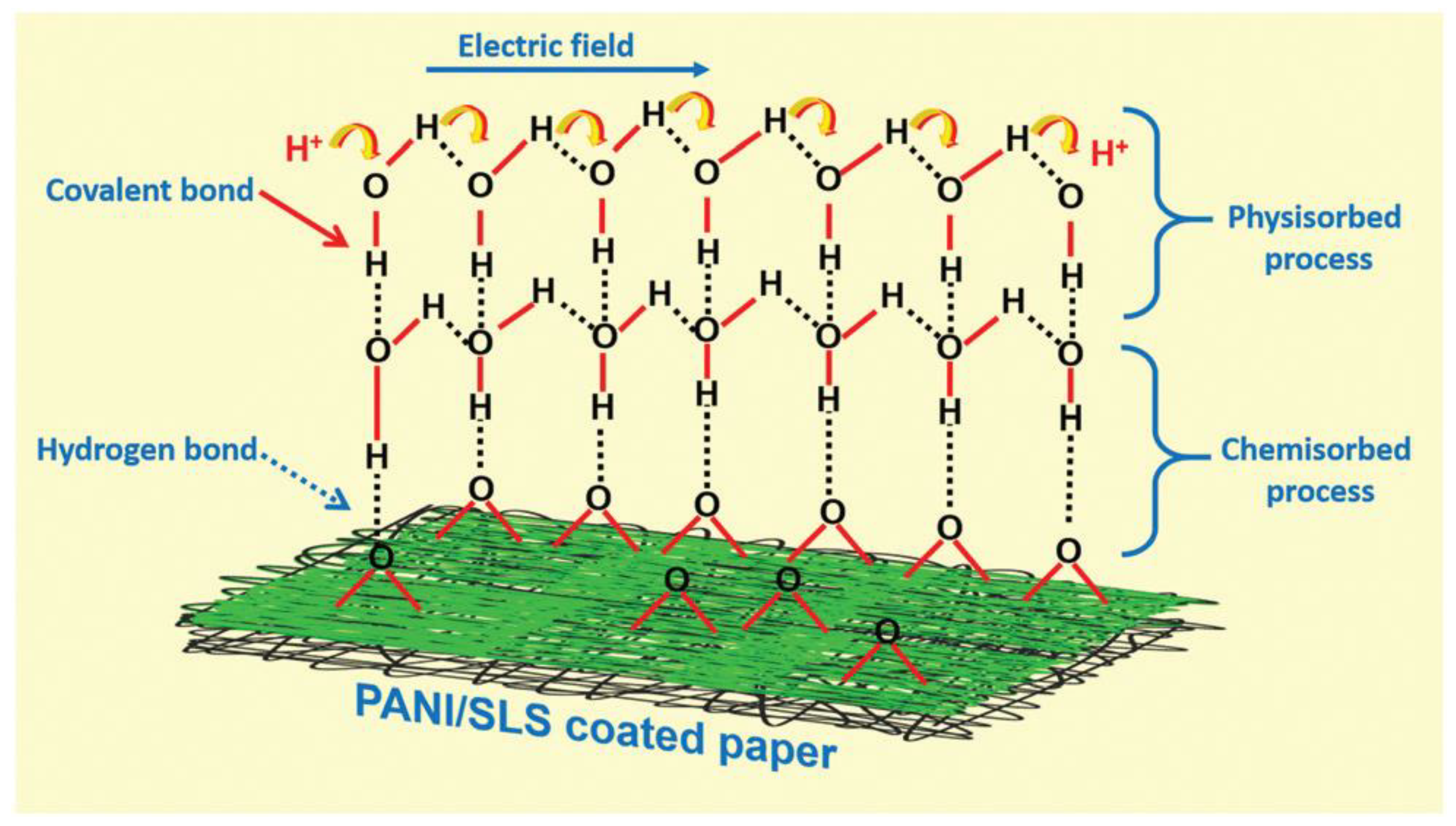 Nanomaterials 13 01110 g013