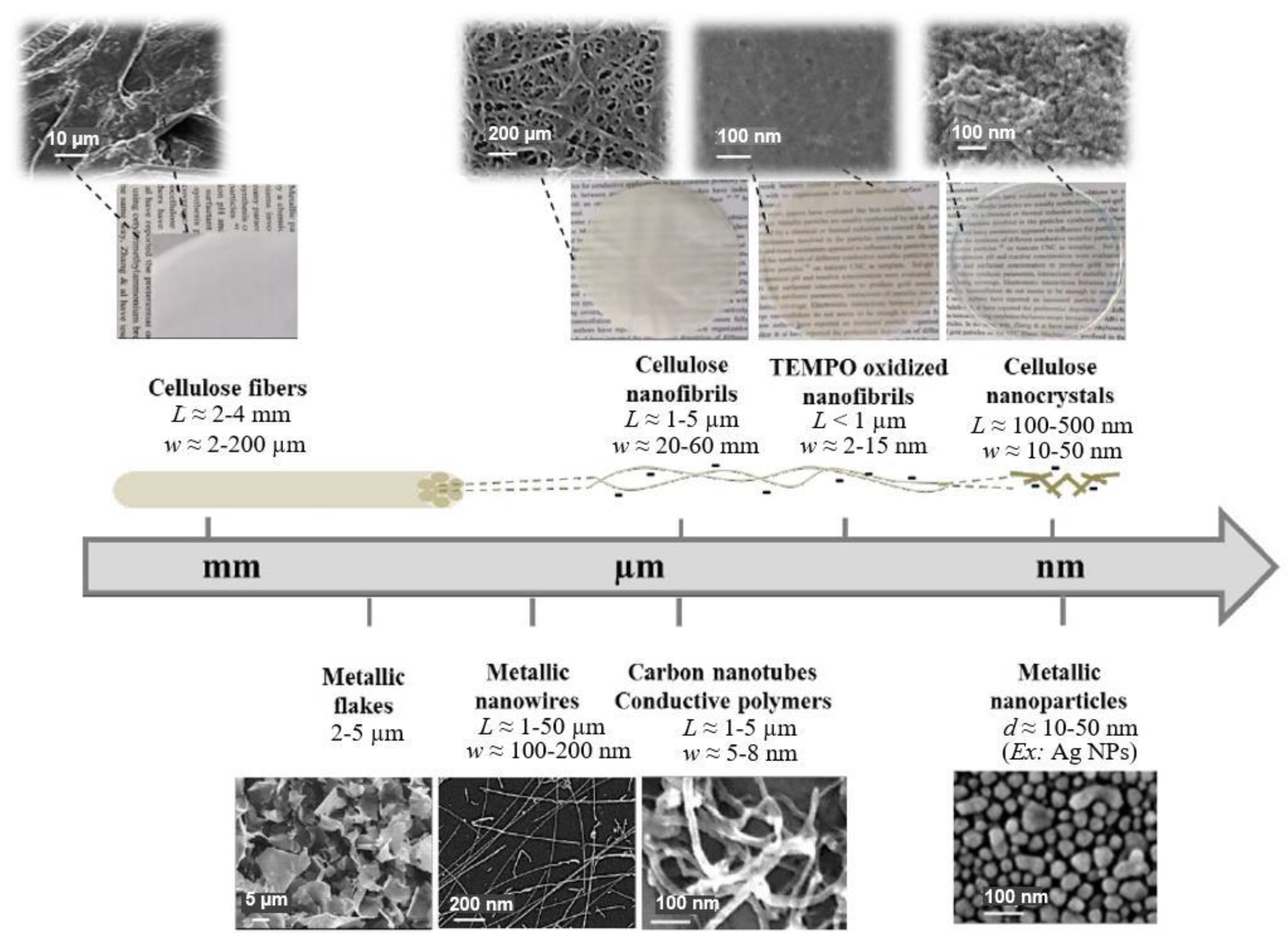Nanomaterials 13 01110 g016