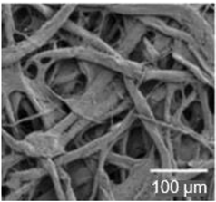 Nanomaterials 13 01110 i001