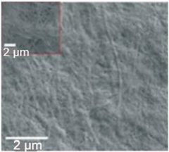 Nanomaterials 13 01110 i002