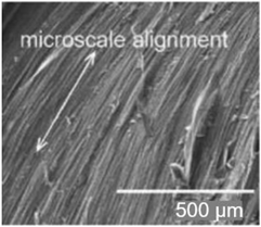 Nanomaterials 13 01110 i003