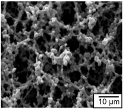 Nanomaterials 13 01110 i004