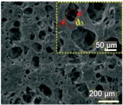 Nanomaterials 13 01110 i005