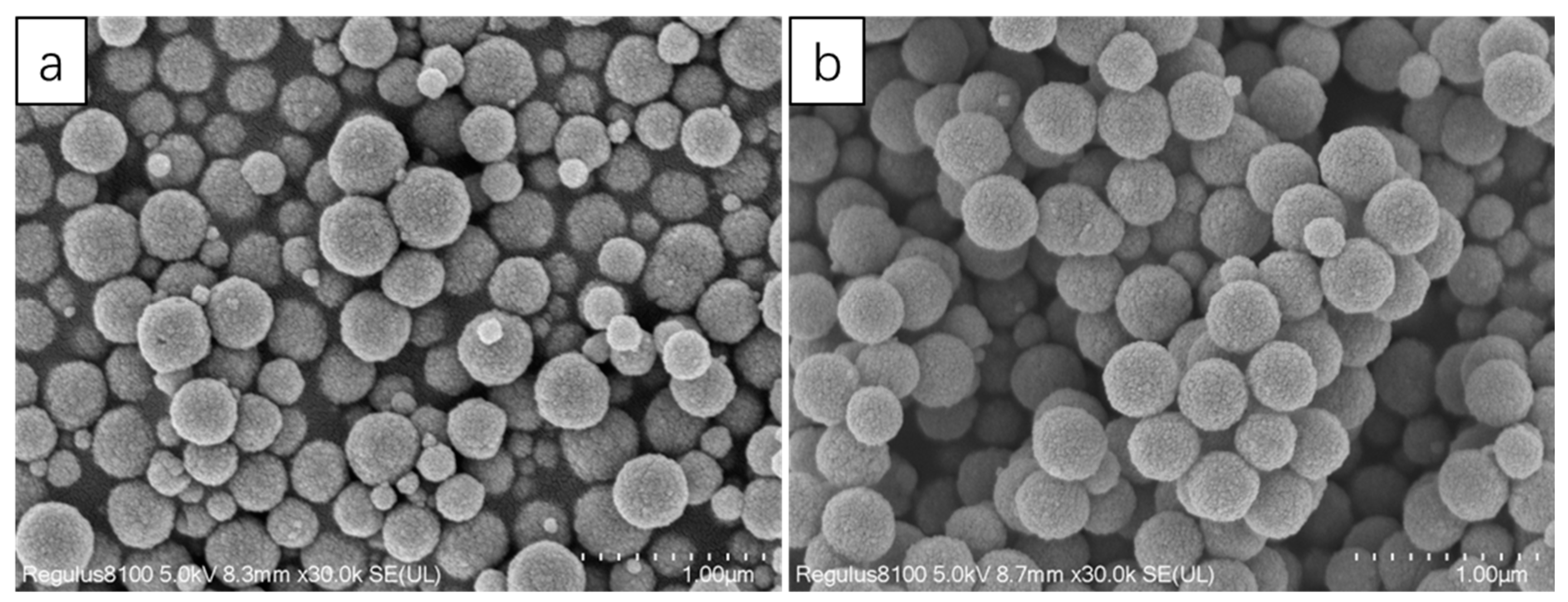 Nanomaterials 13 01111 g005