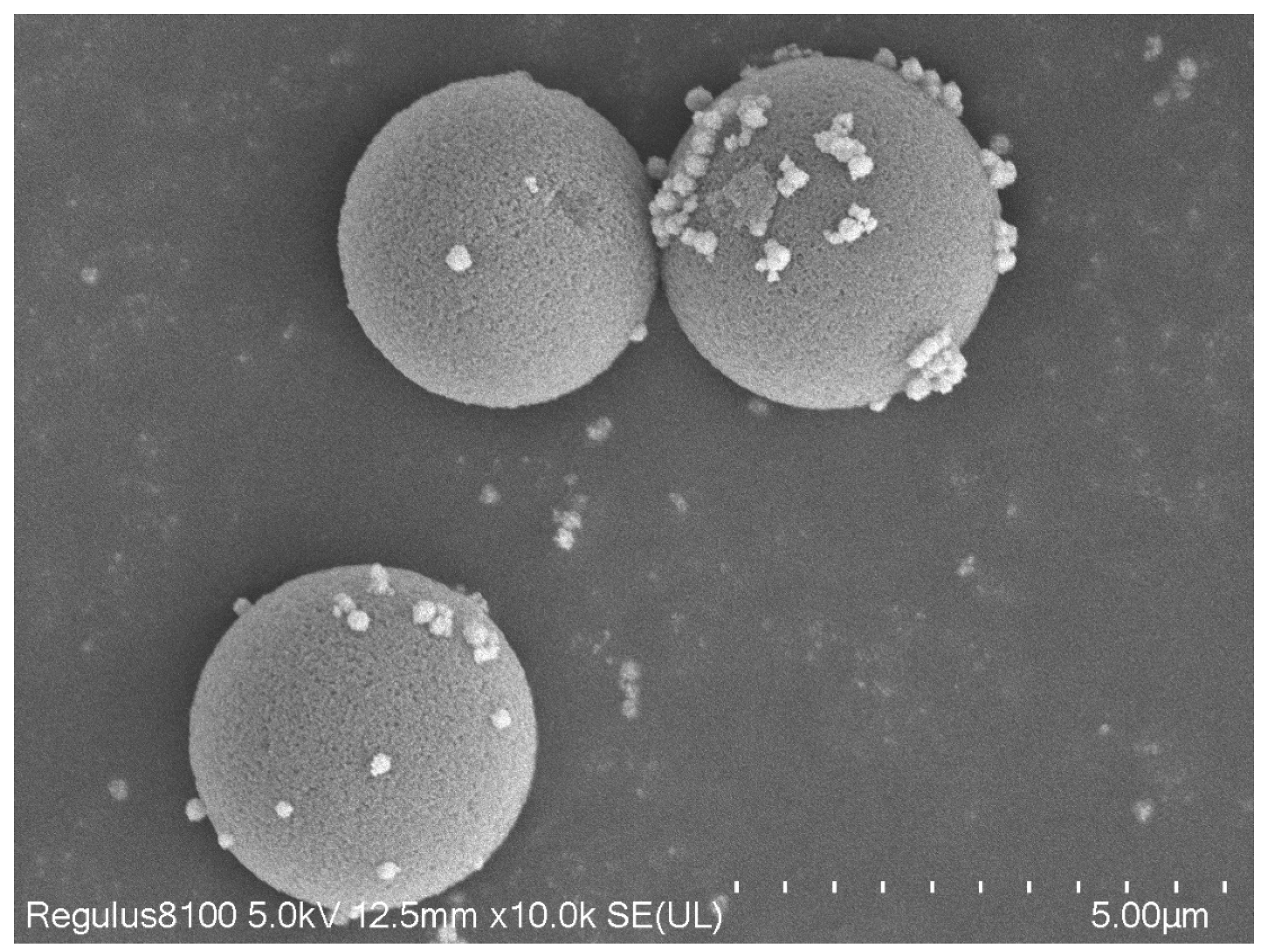 Nanomaterials 13 01111 g013