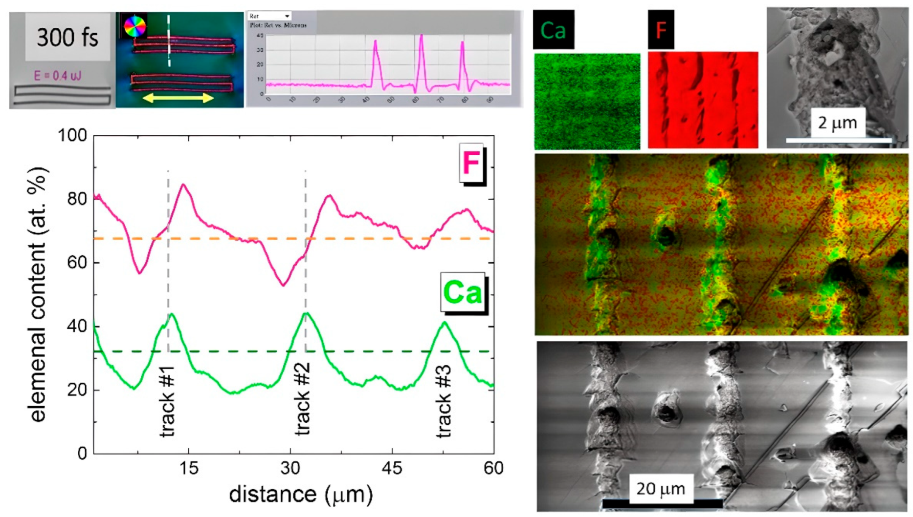 Nanomaterials 13 01133 g005