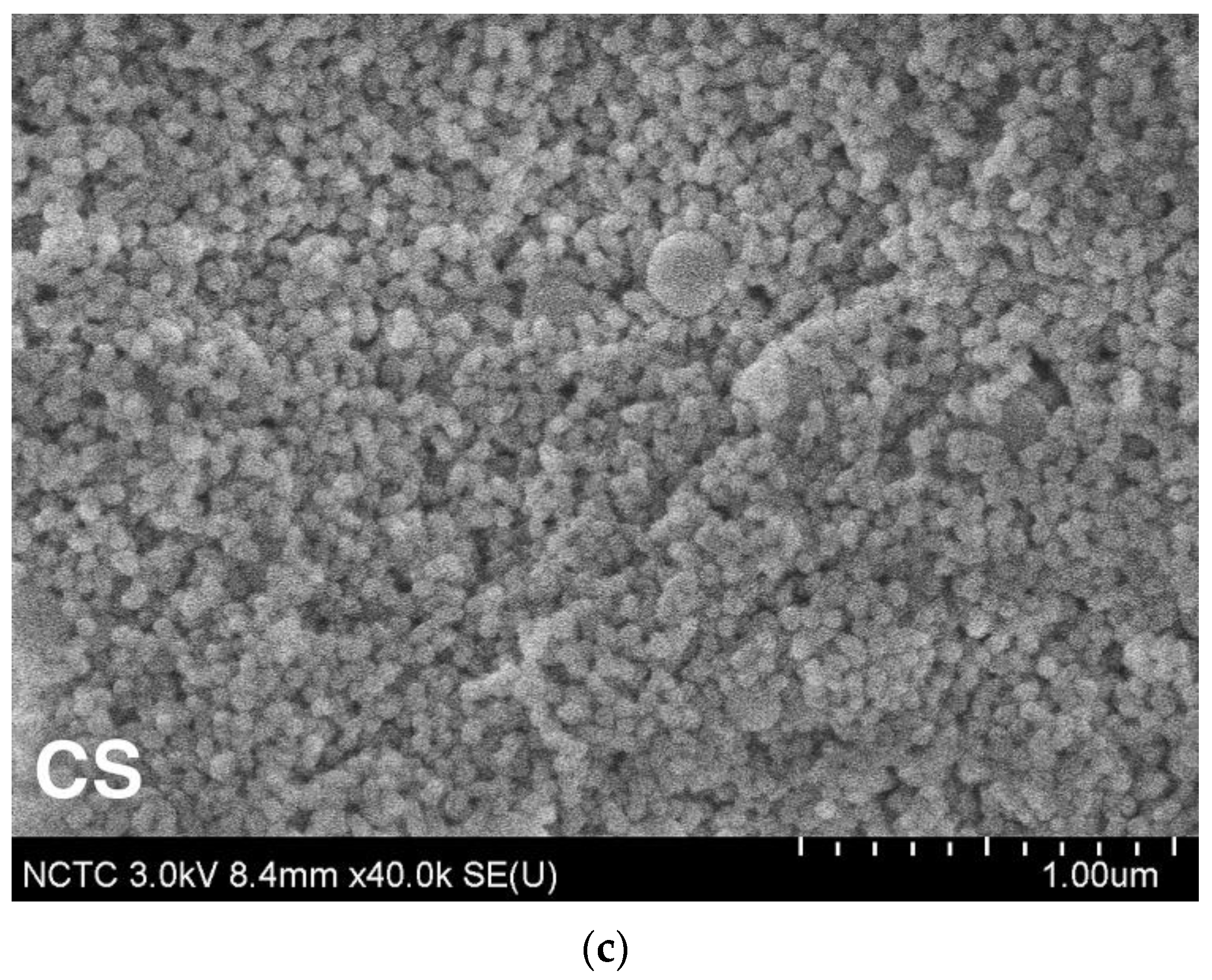 Nanomaterials 13 01139 g004b Nanomaterials 13 01139 g004b