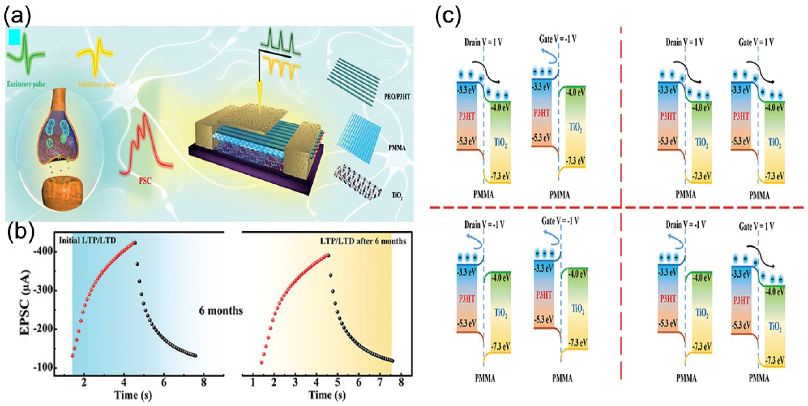 Nanomaterials 13 01141 g008 Nanomaterials 13 01141 g008