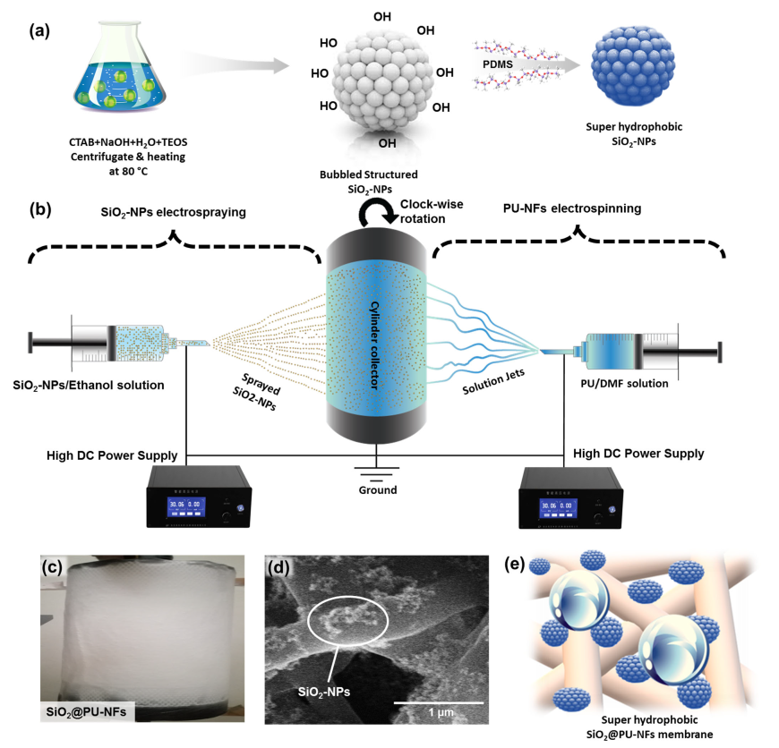 Nanomaterials 13 01146 g001