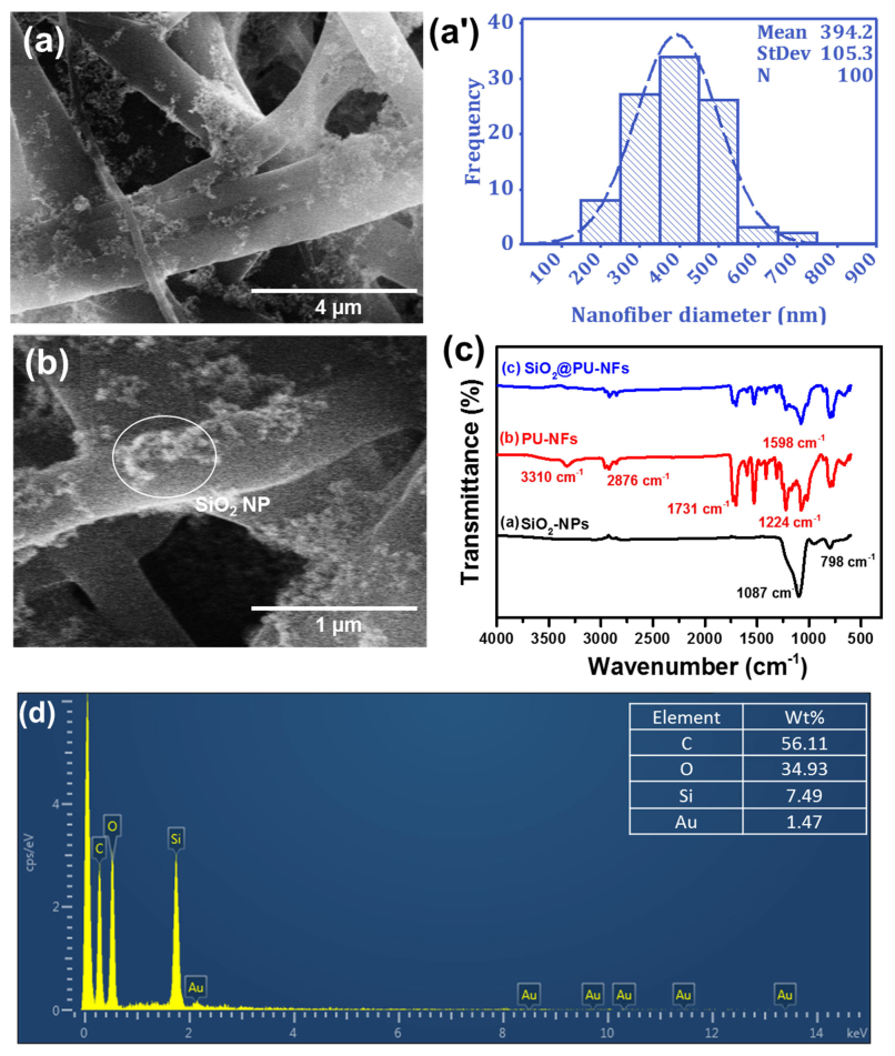 Nanomaterials 13 01146 g004