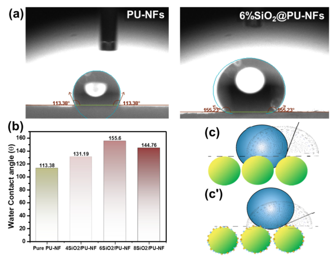 Nanomaterials 13 01146 g005