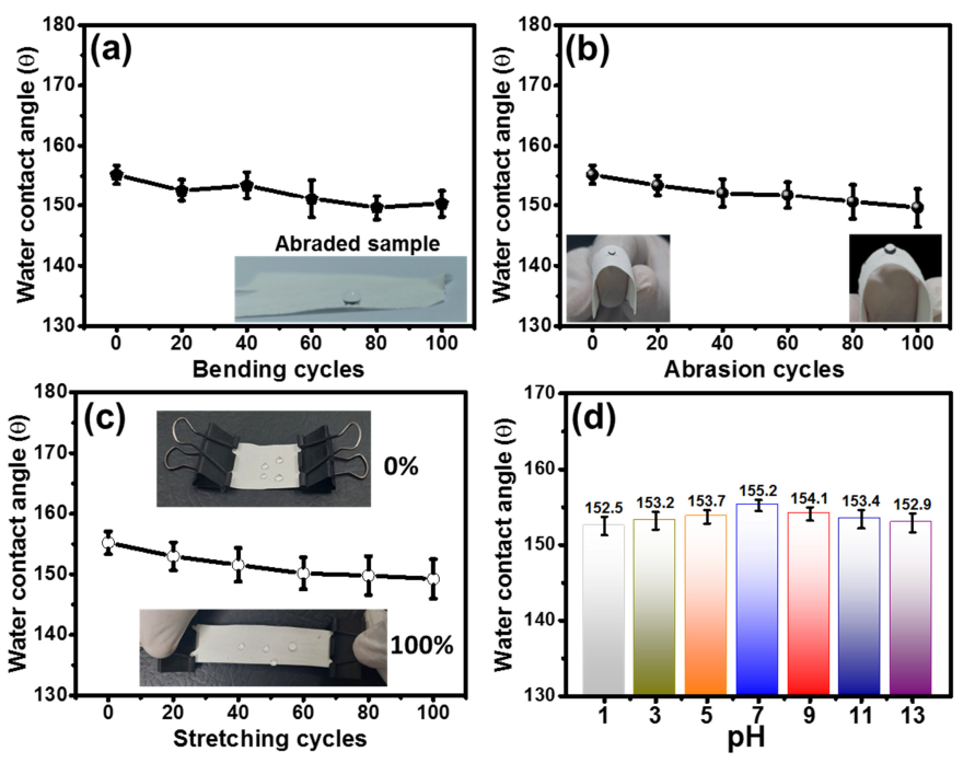 Nanomaterials 13 01146 g006