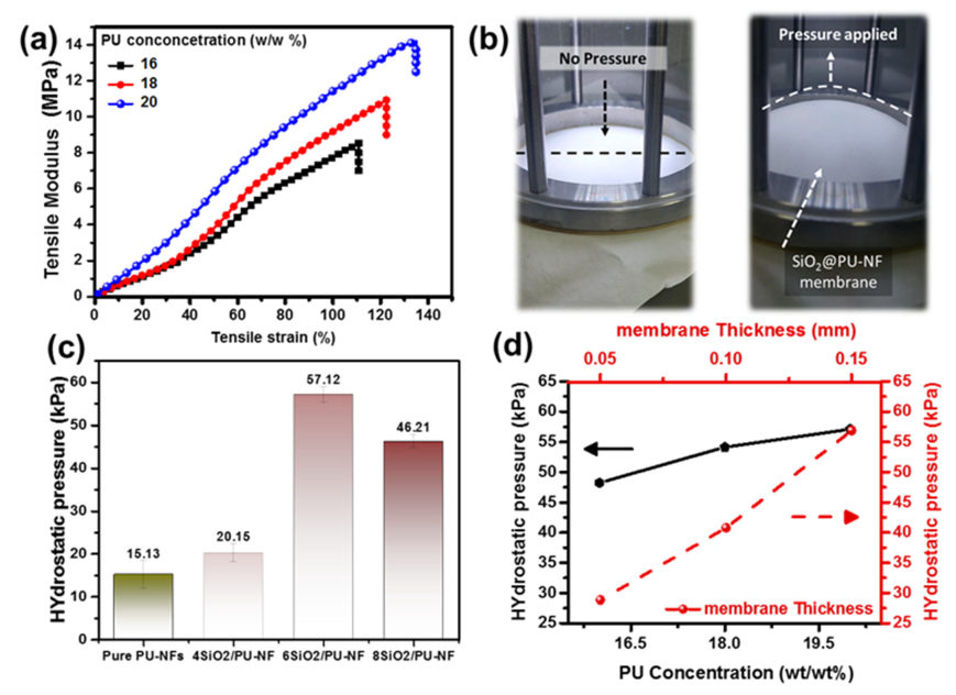 Nanomaterials 13 01146 g007