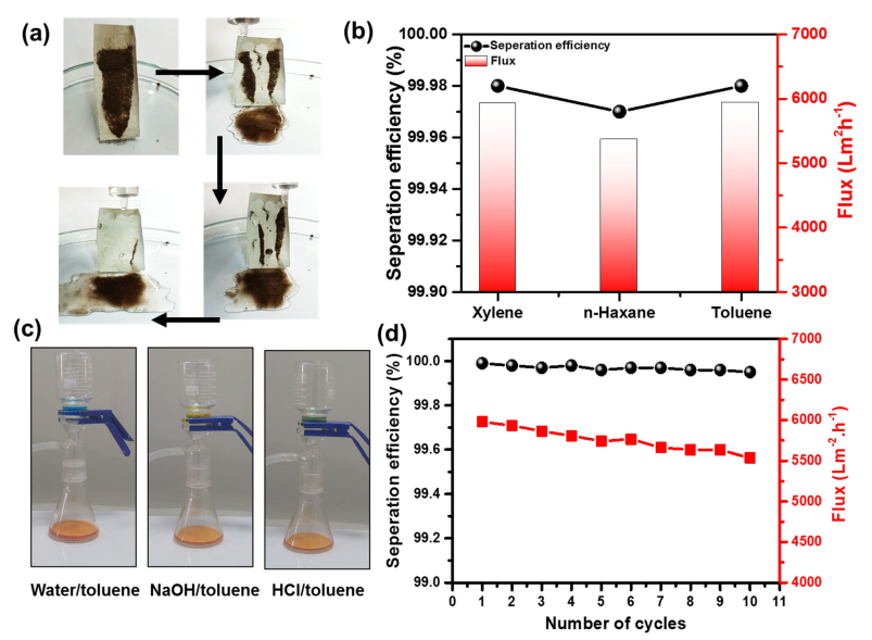 Nanomaterials 13 01146 g009