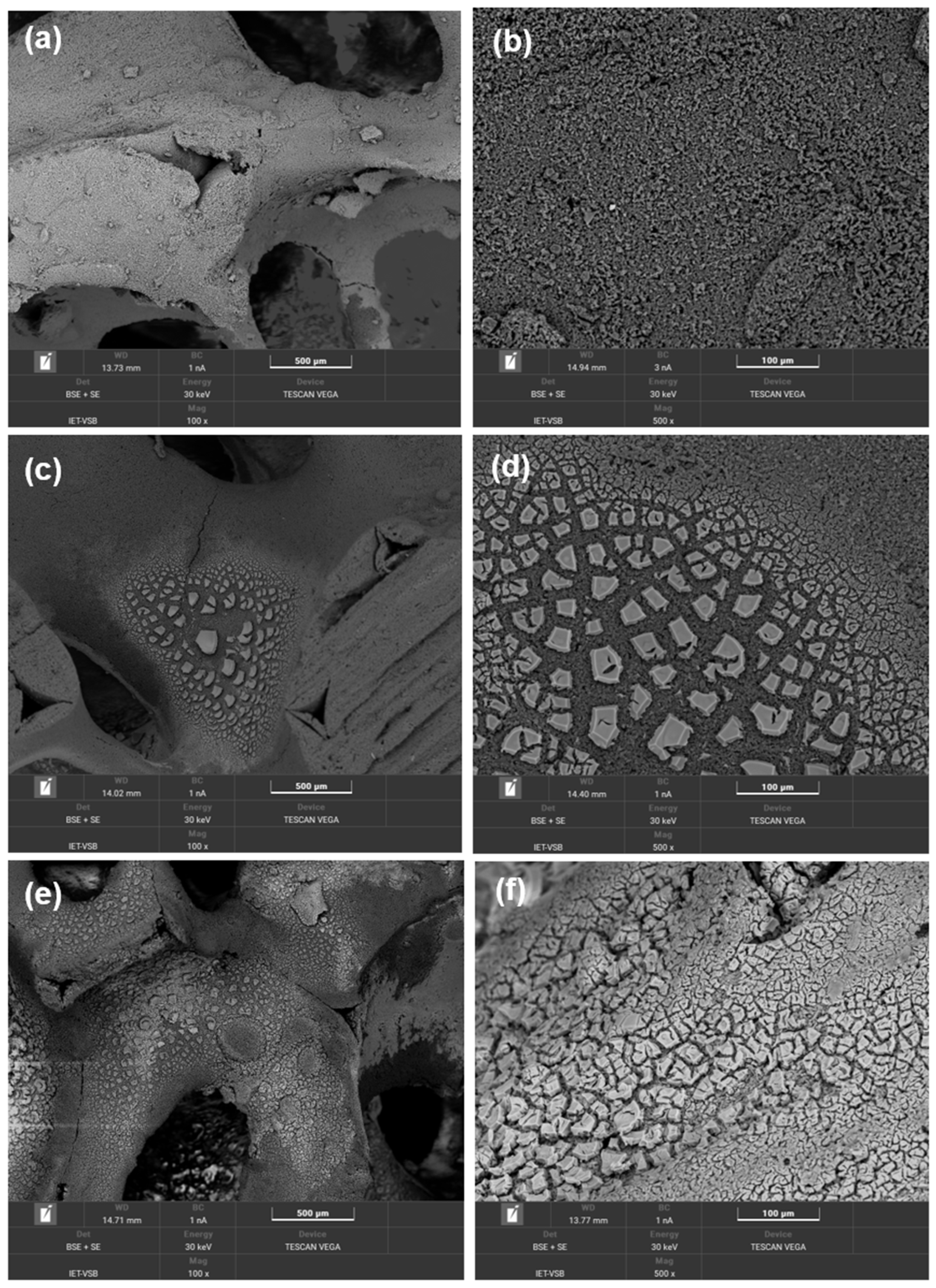 Nanomaterials 13 01148 g008 Nanomaterials 13 01148 g008