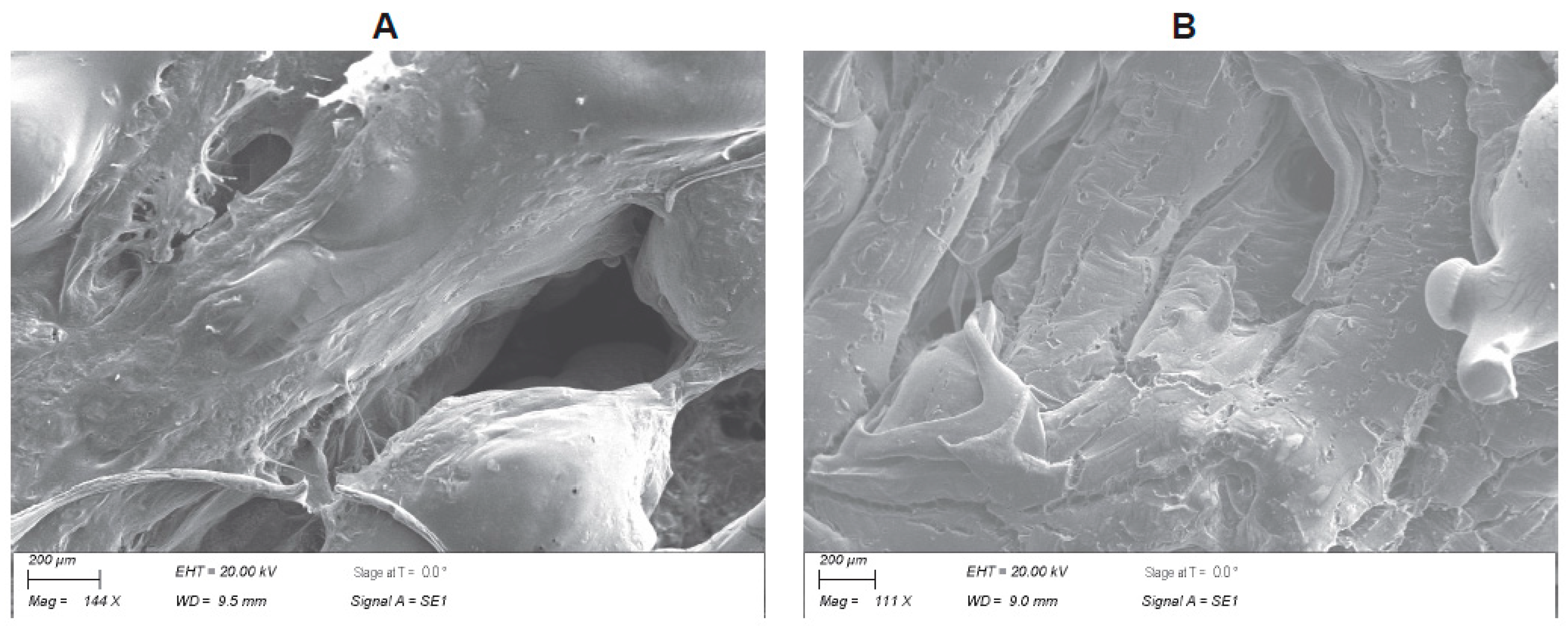 Nanomaterials 13 01149 g002