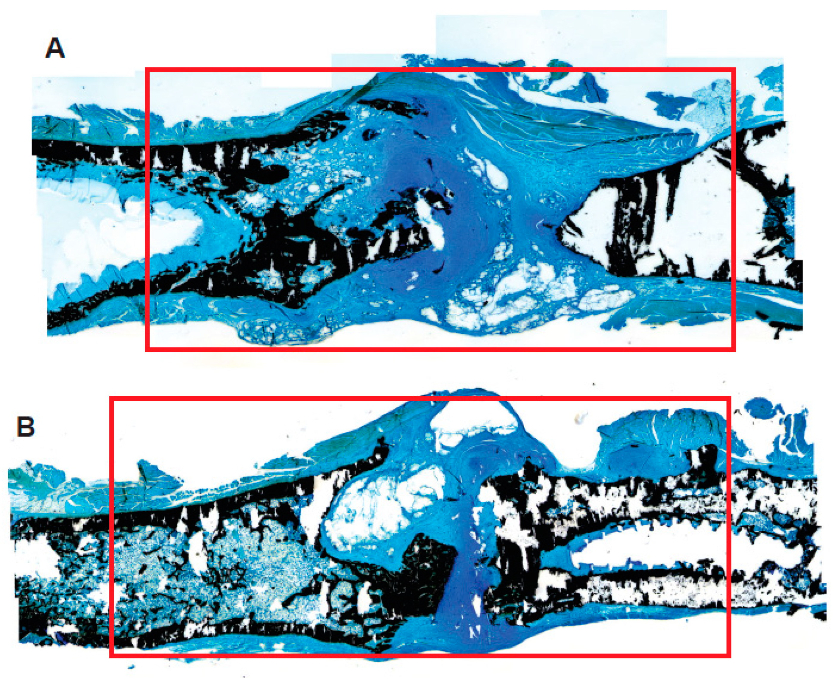 Nanomaterials 13 01149 g006
